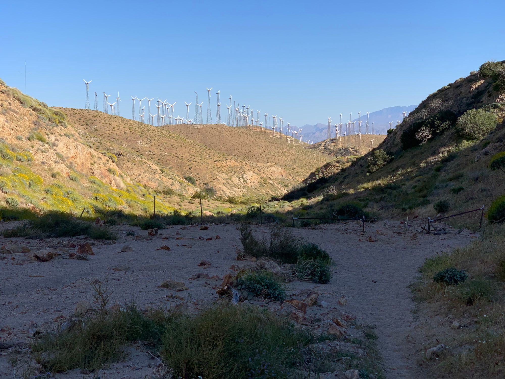 Day 11 - 19: Magic, gunshots and beers