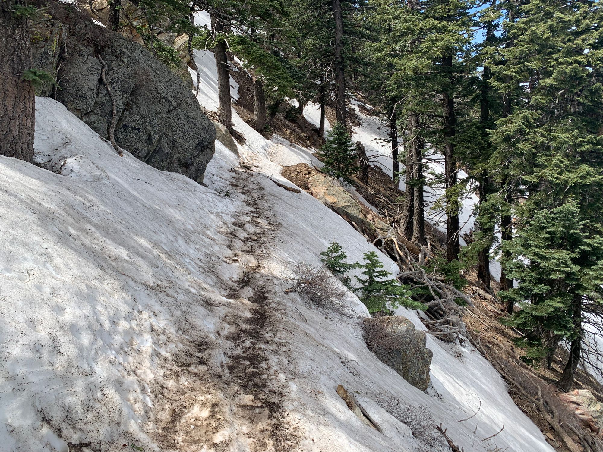 Day 5-10: Snow, burgers and snakes.