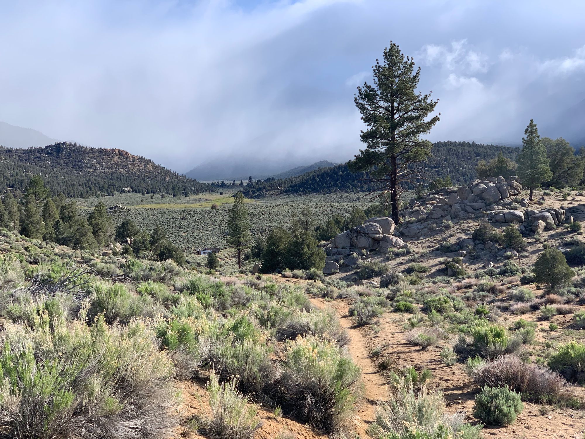 Day 38-45: Bears, wind and magic (again!)