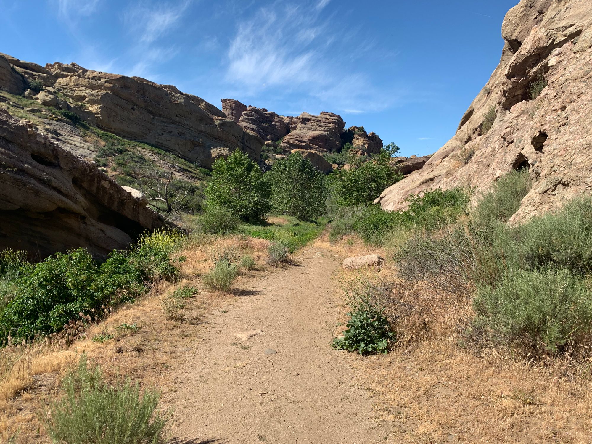 Day 20-37: Aqueduct, road trip and crows