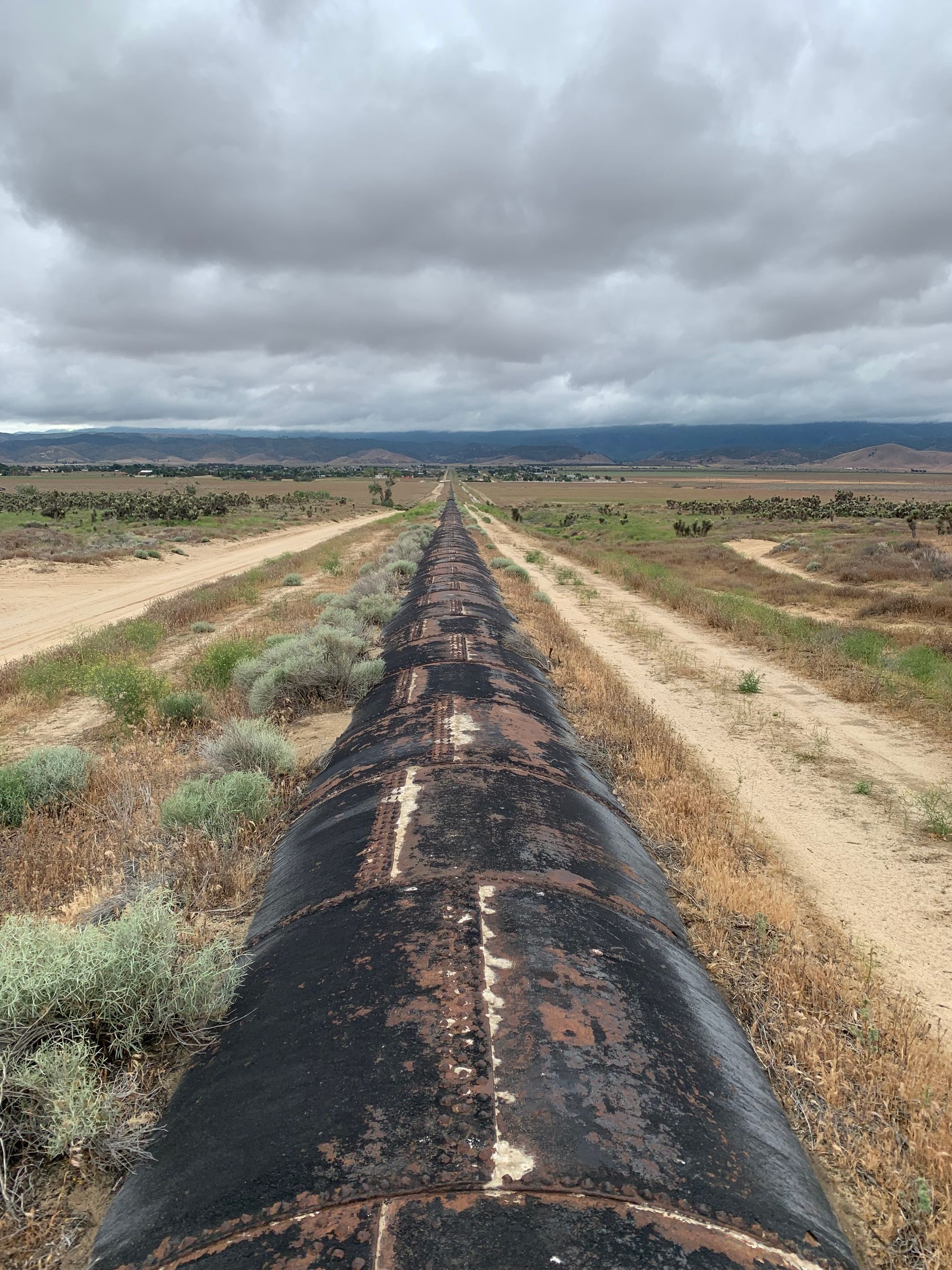 Day 20-37: Aqueduct, road trip and crows