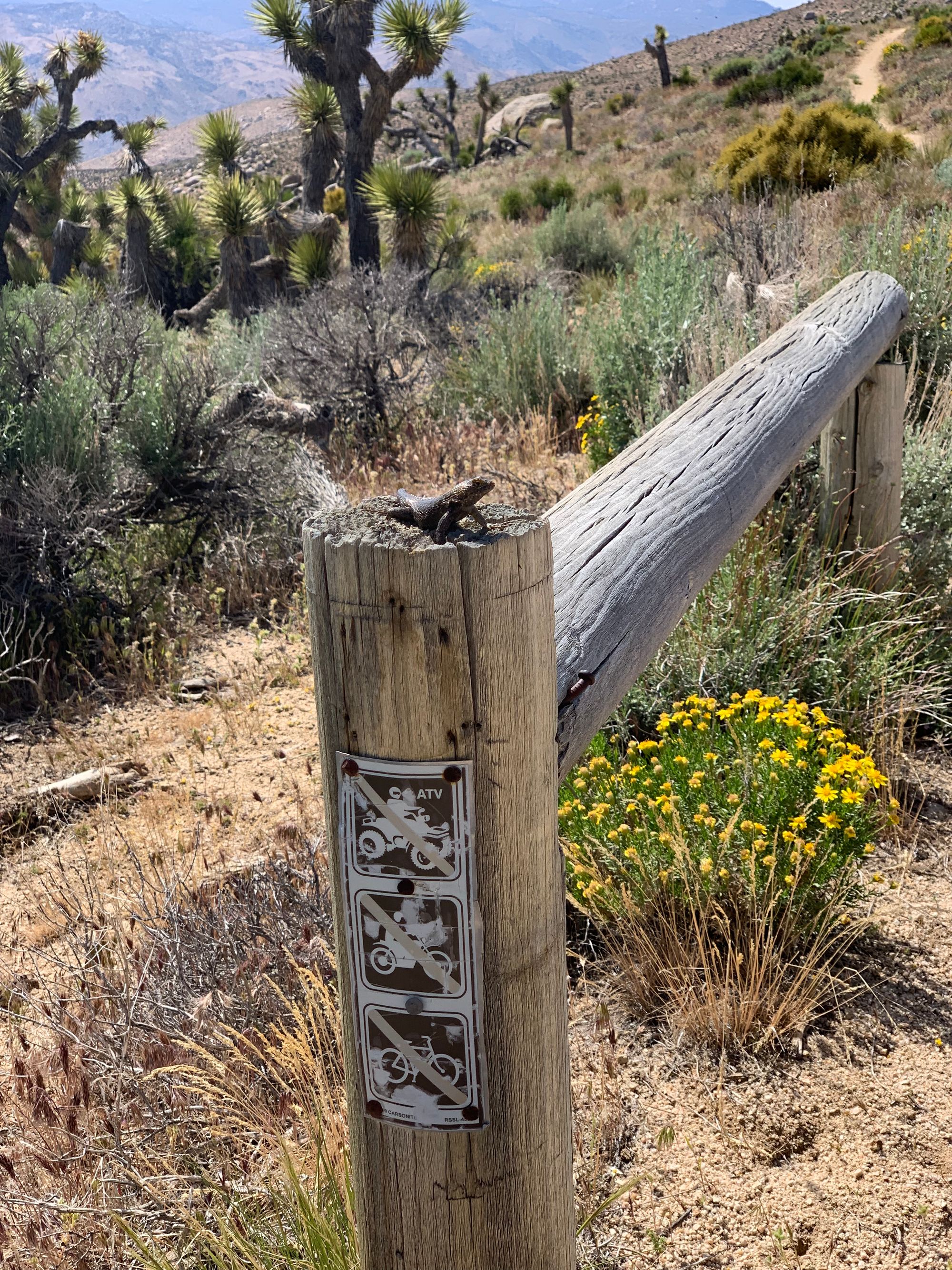 Day 38-45: Bears, wind and magic (again!)
