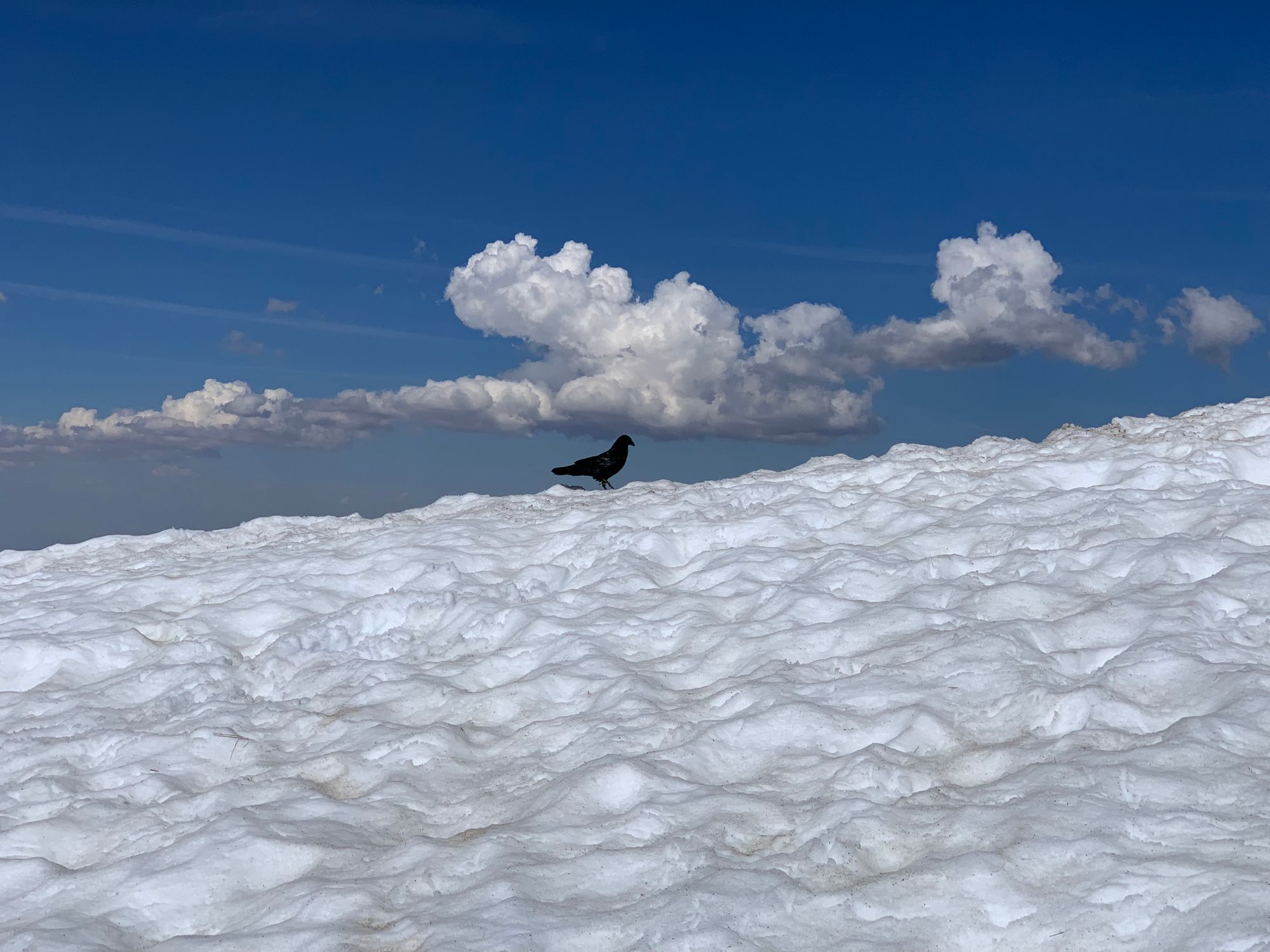 Day 20-37: Aqueduct, road trip and crows