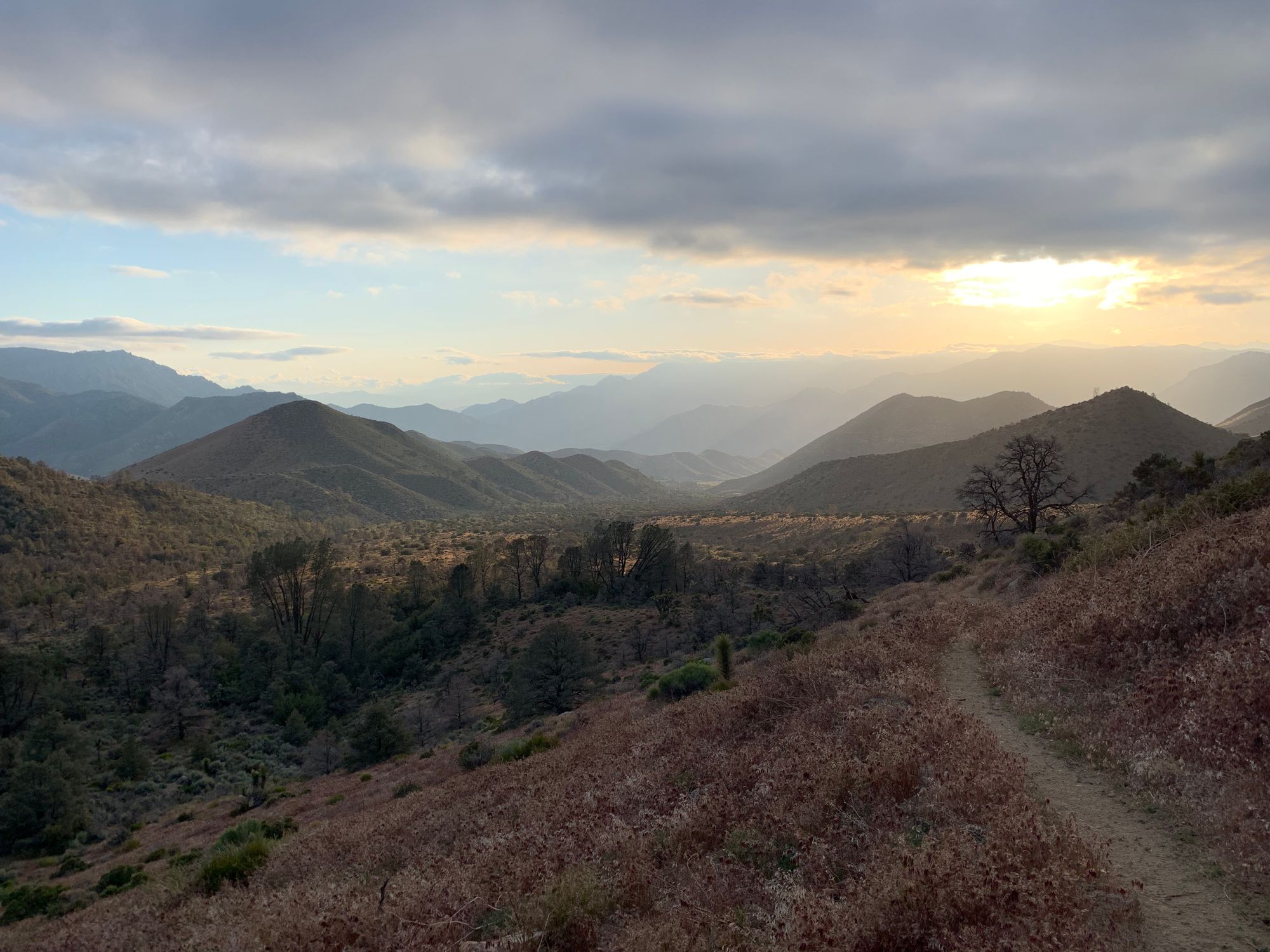 Day 38-45: Bears, wind and magic (again!)