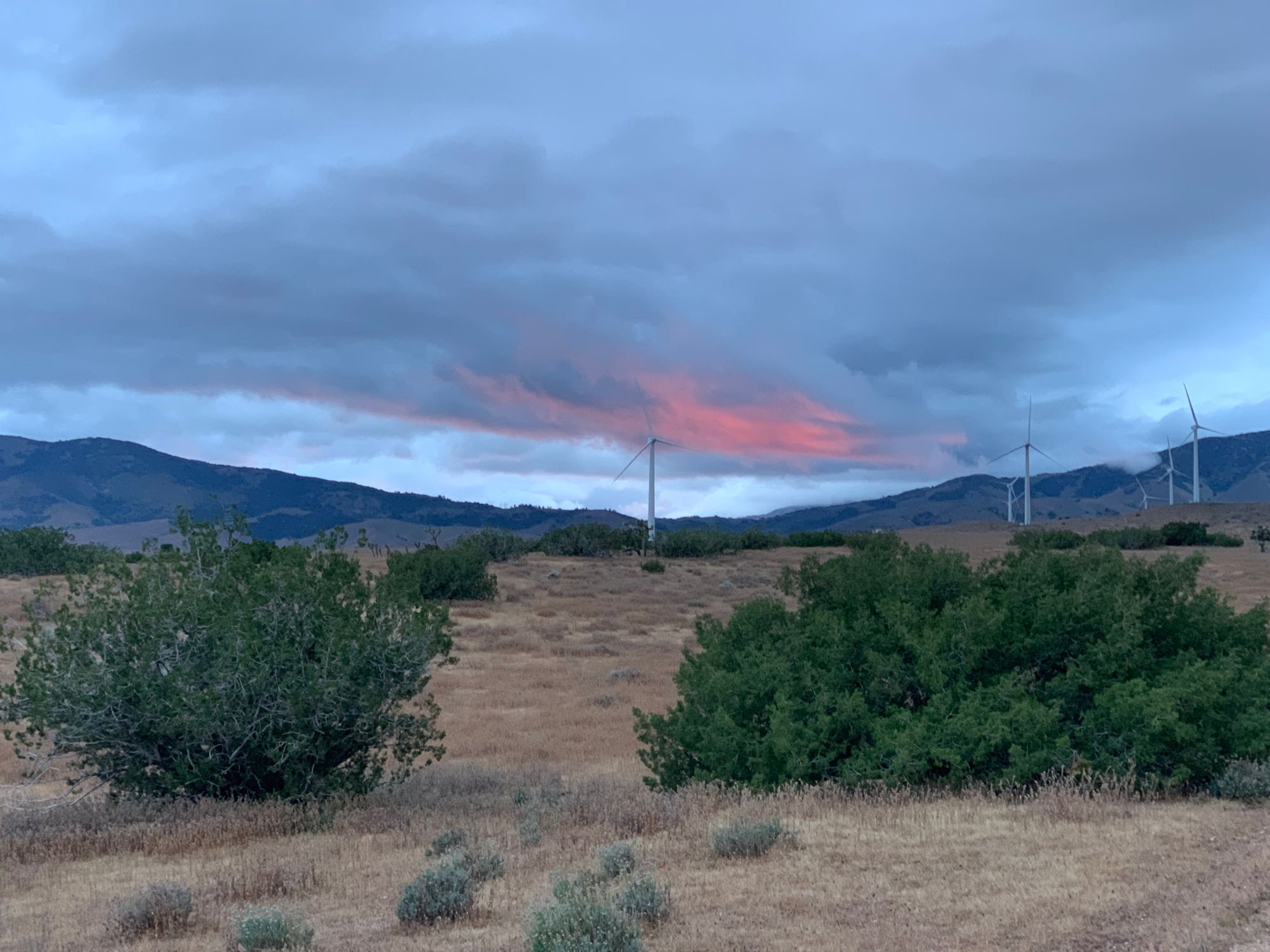Day 20-37: Aqueduct, road trip and crows