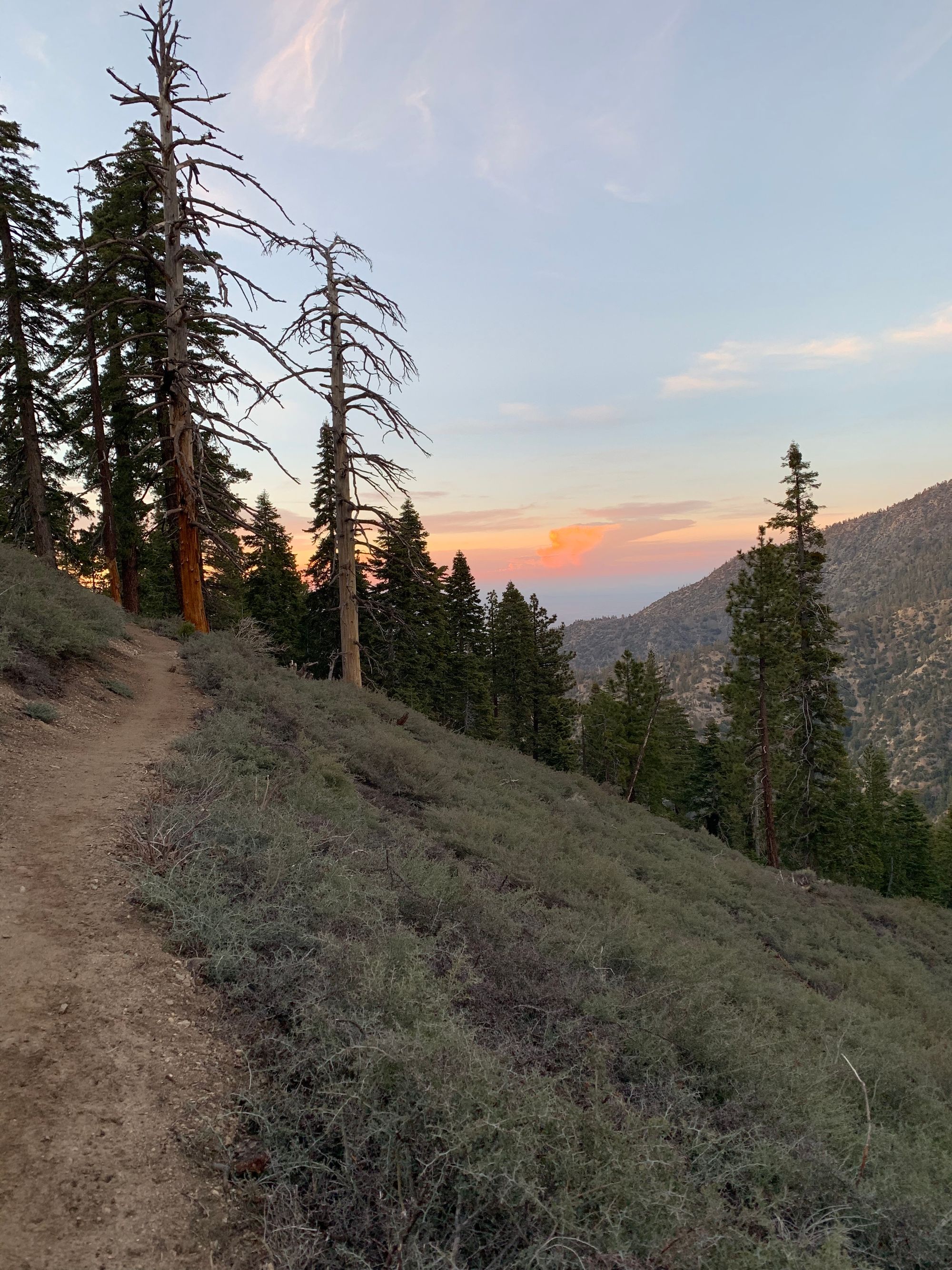 Day 20-37: Aqueduct, road trip and crows
