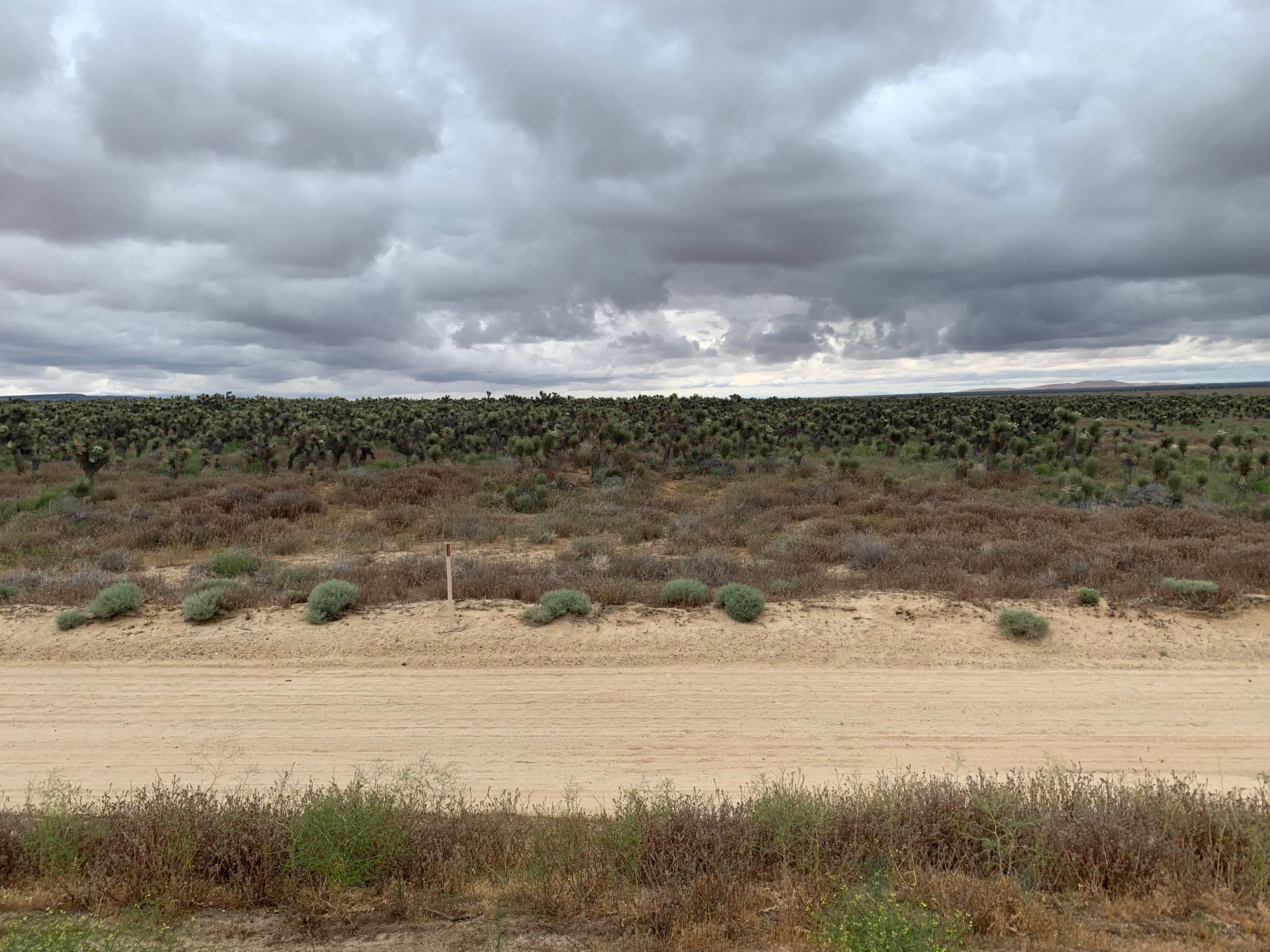 Day 20-37: Aqueduct, road trip and crows