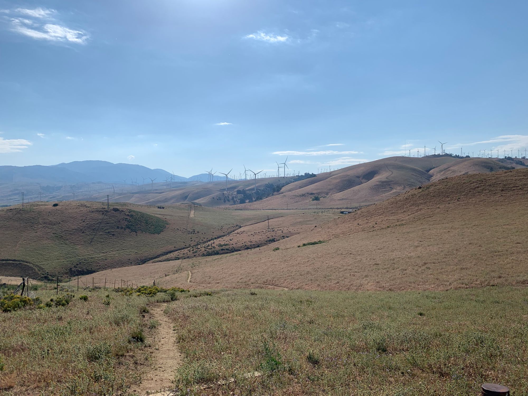 Day 38-45: Bears, wind and magic (again!)