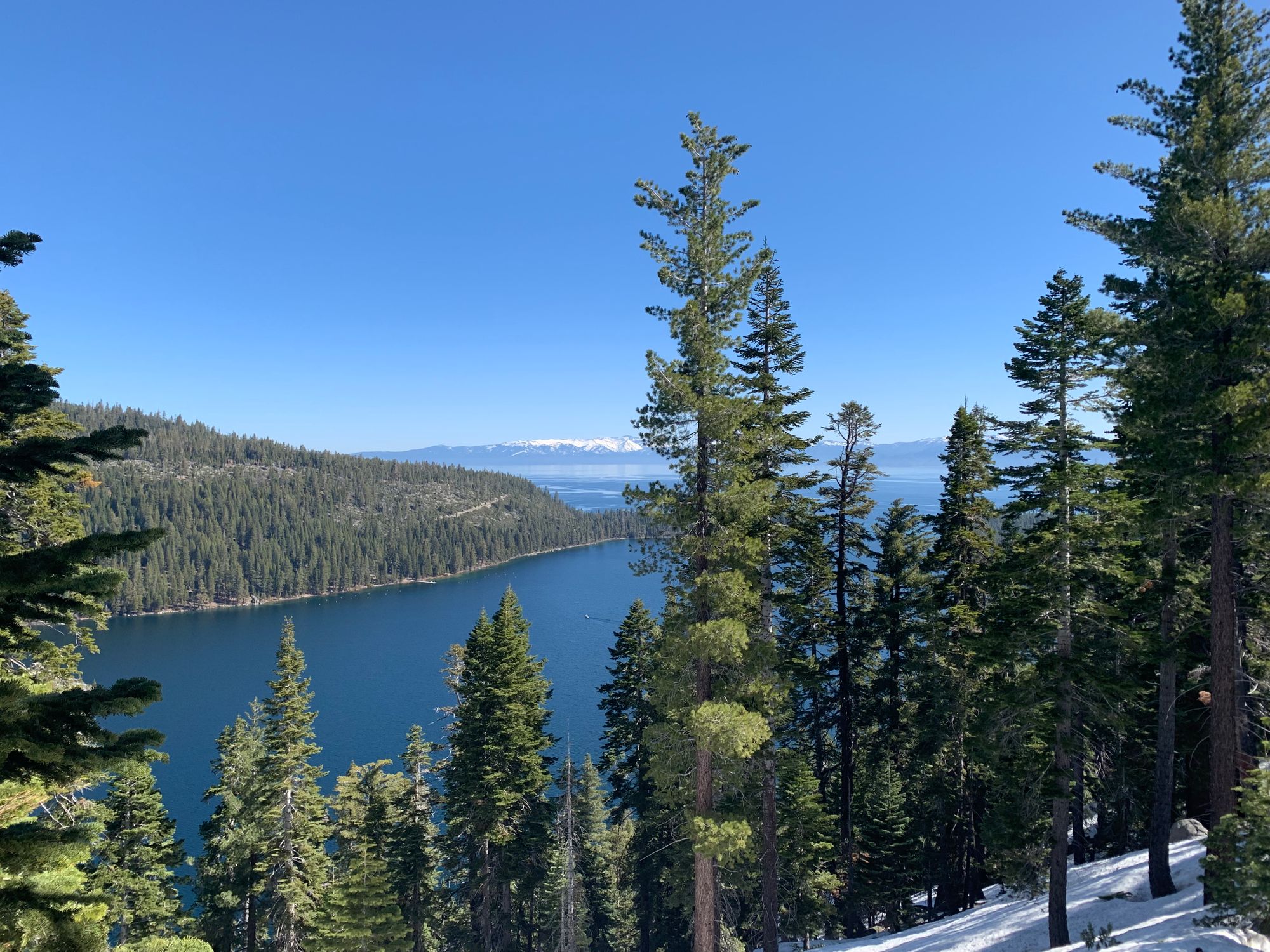 Day 20-37: Aqueduct, road trip and crows