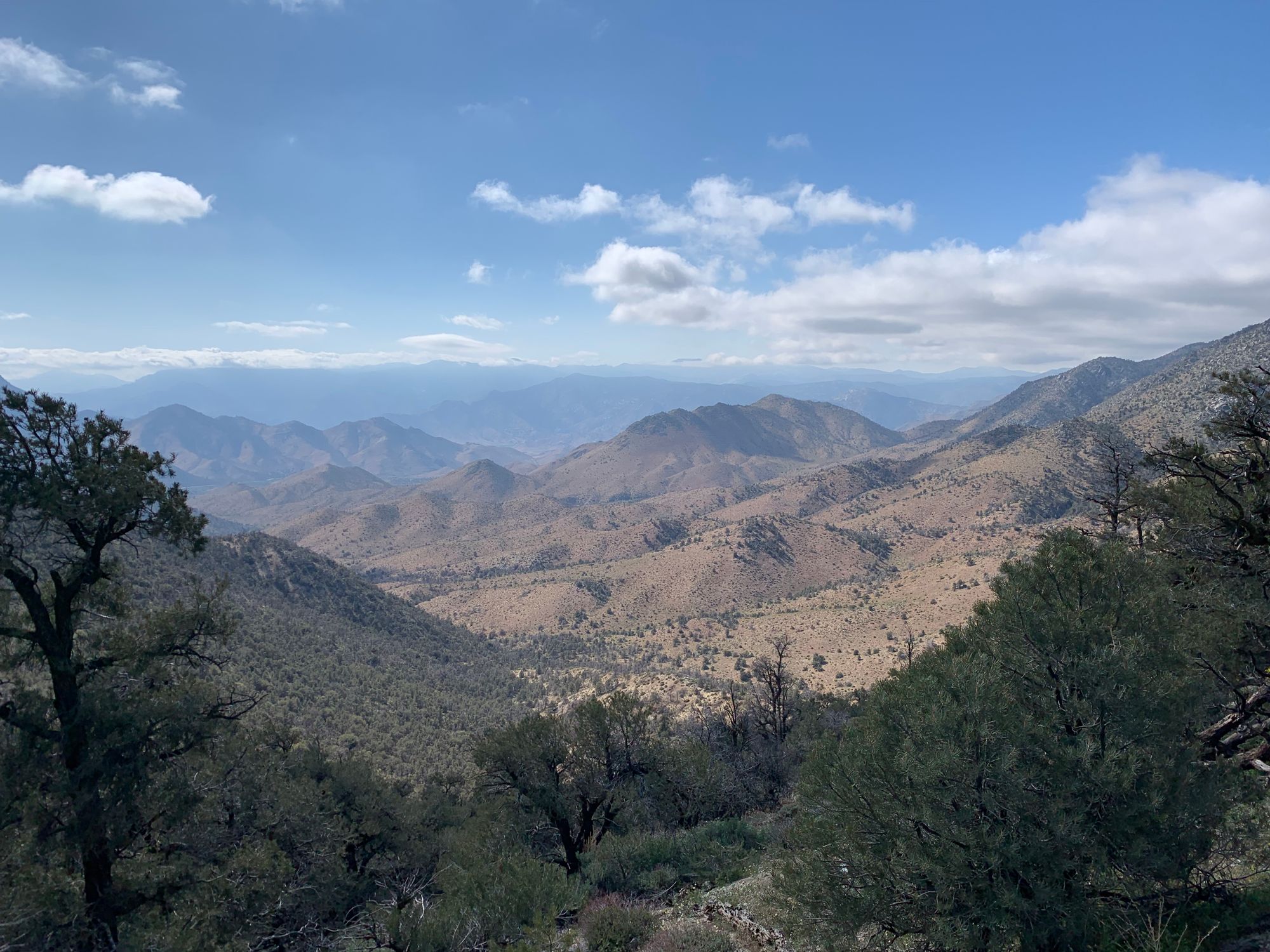 Day 38-45: Bears, wind and magic (again!)