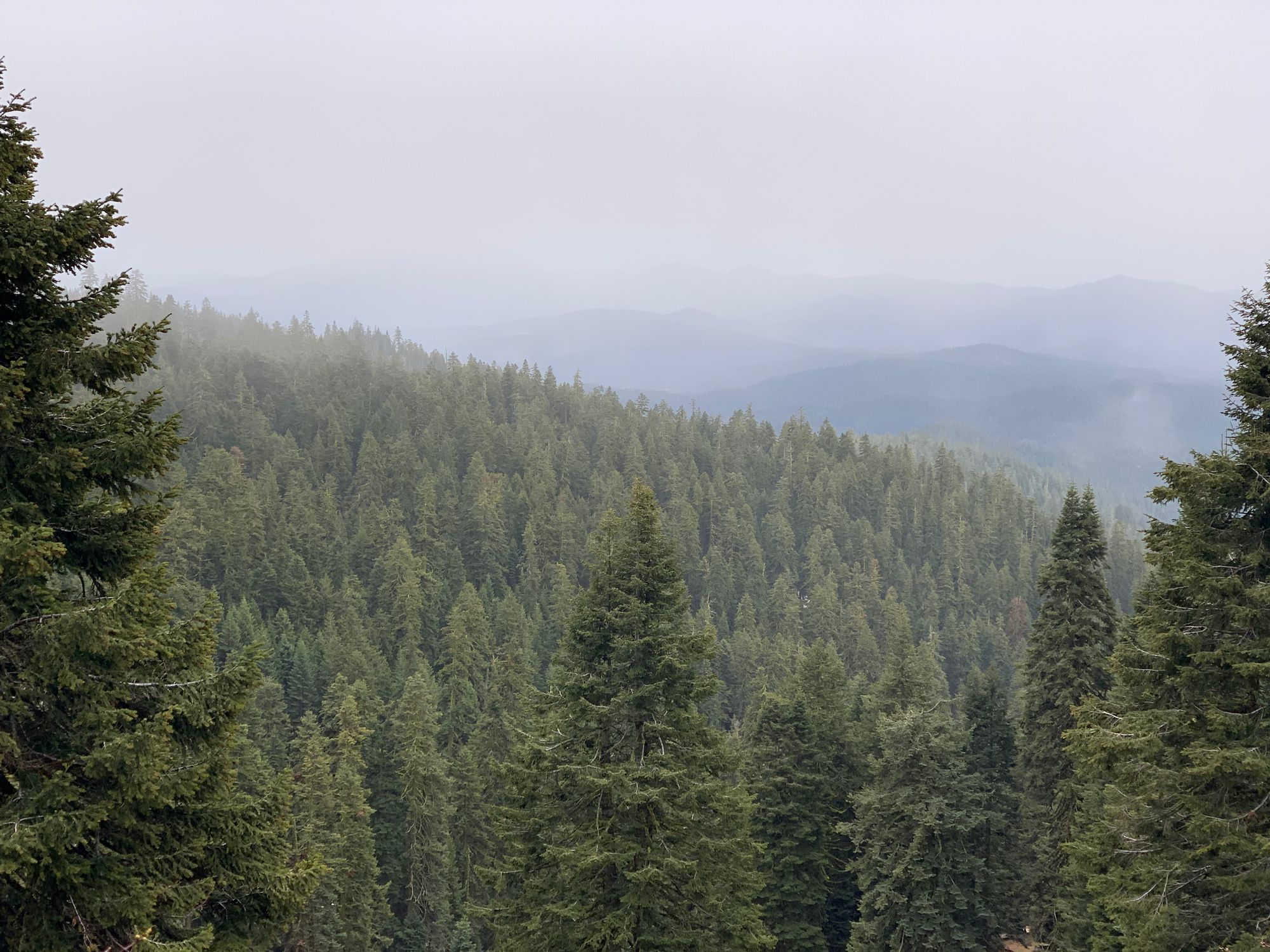 Day 46-56: California, Oregon, California.
