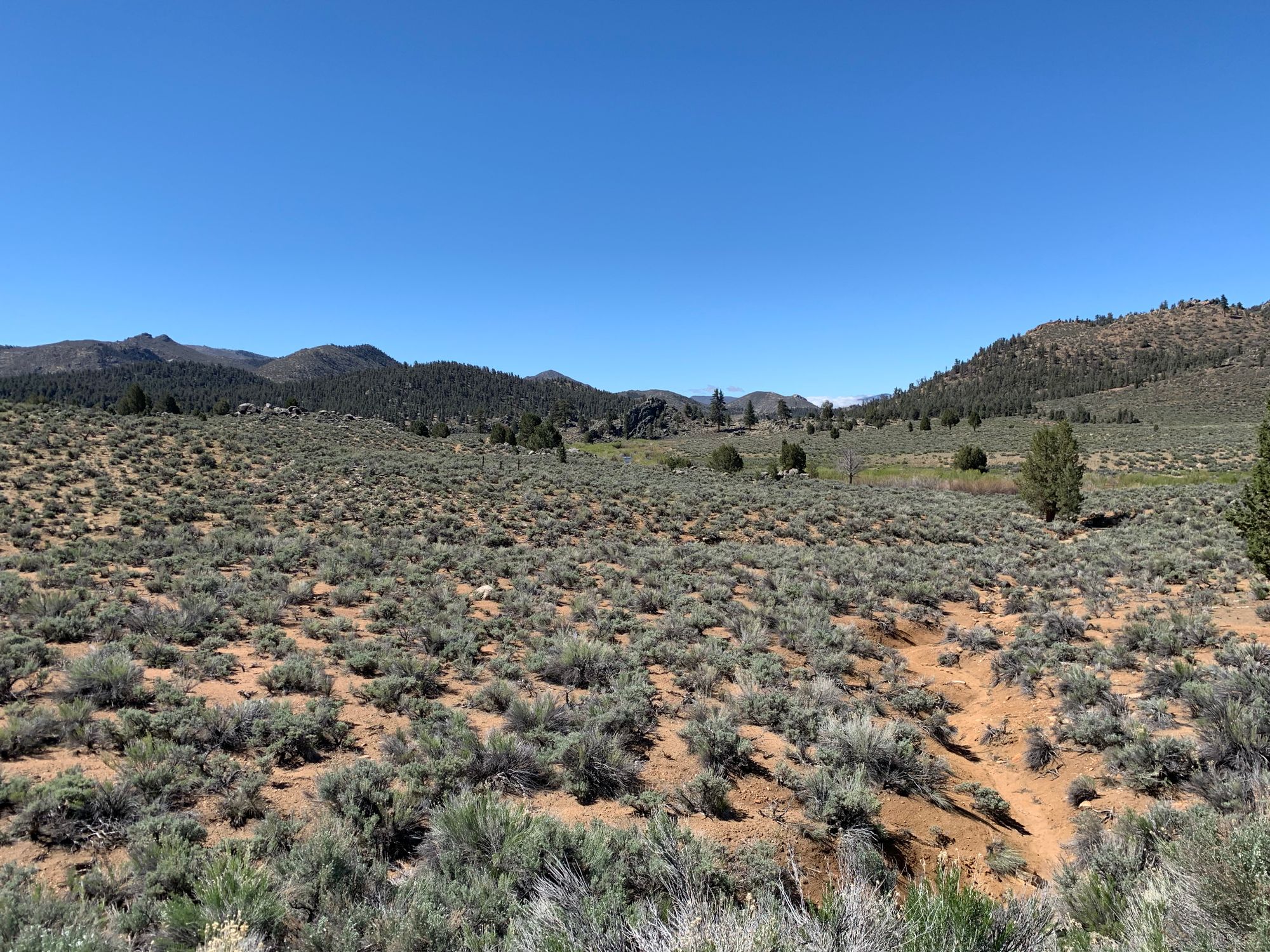 Day 46-56: California, Oregon, California.