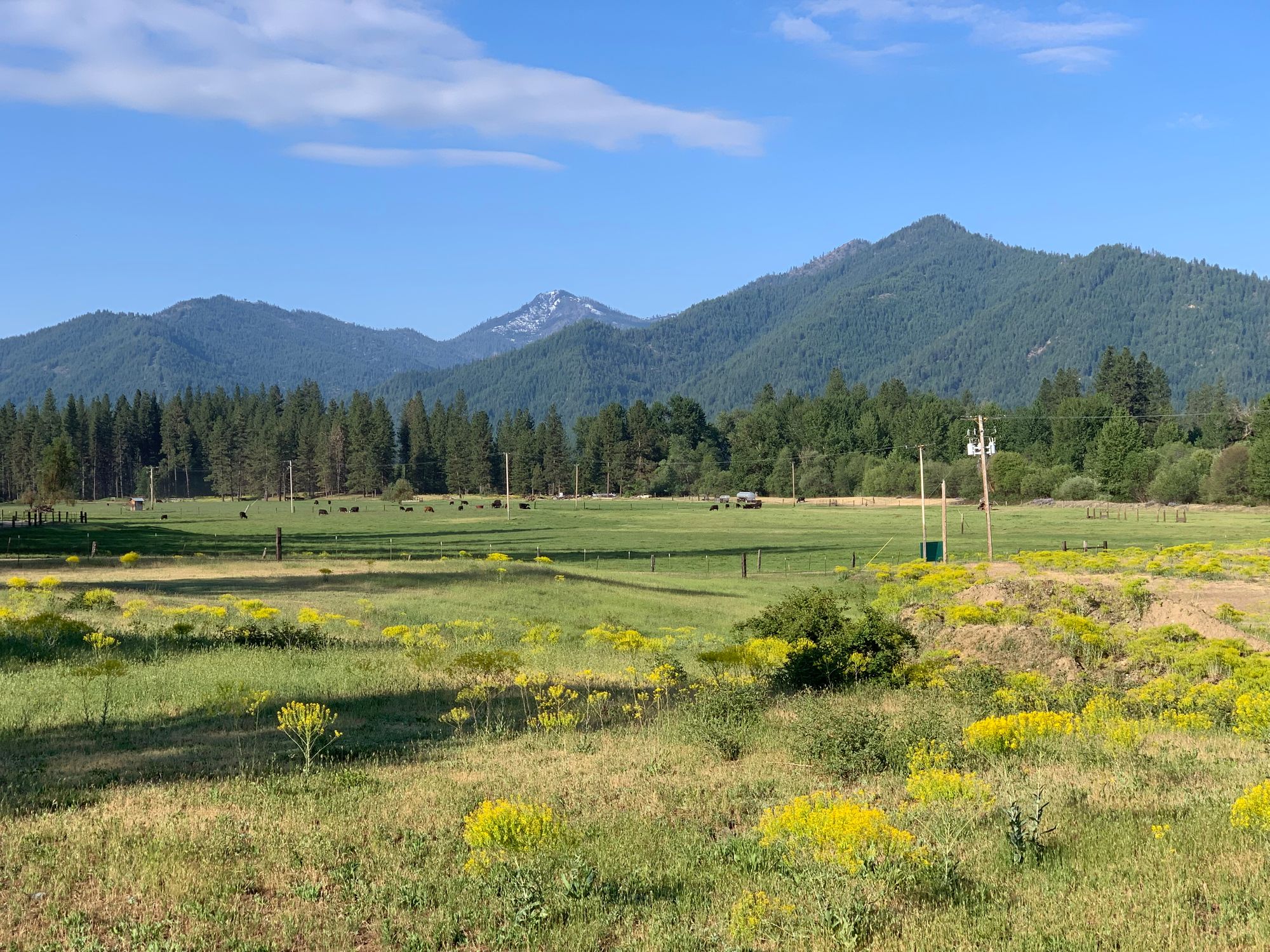 Day 46-56: California, Oregon, California.