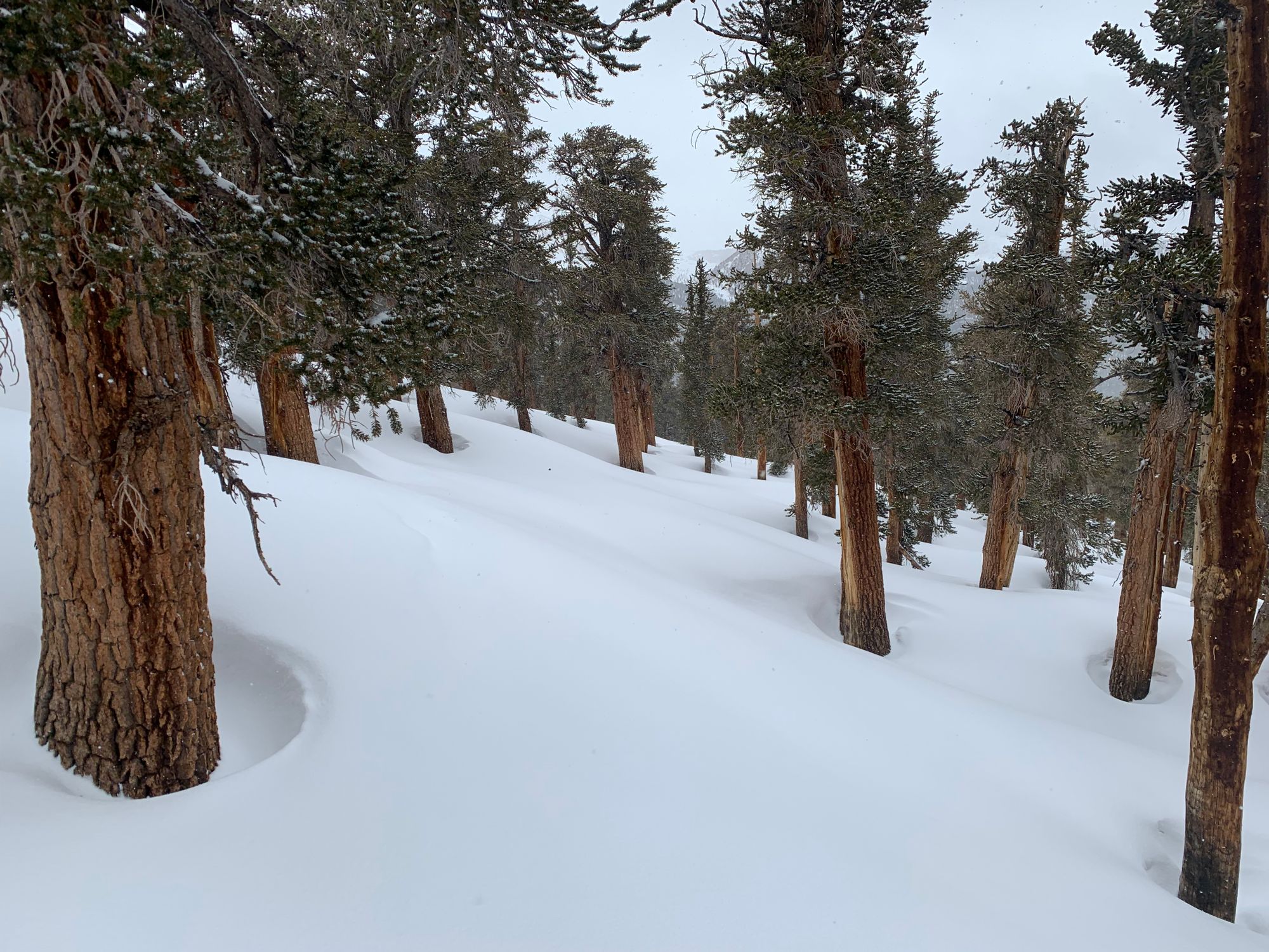 Day 46-56: California, Oregon, California.