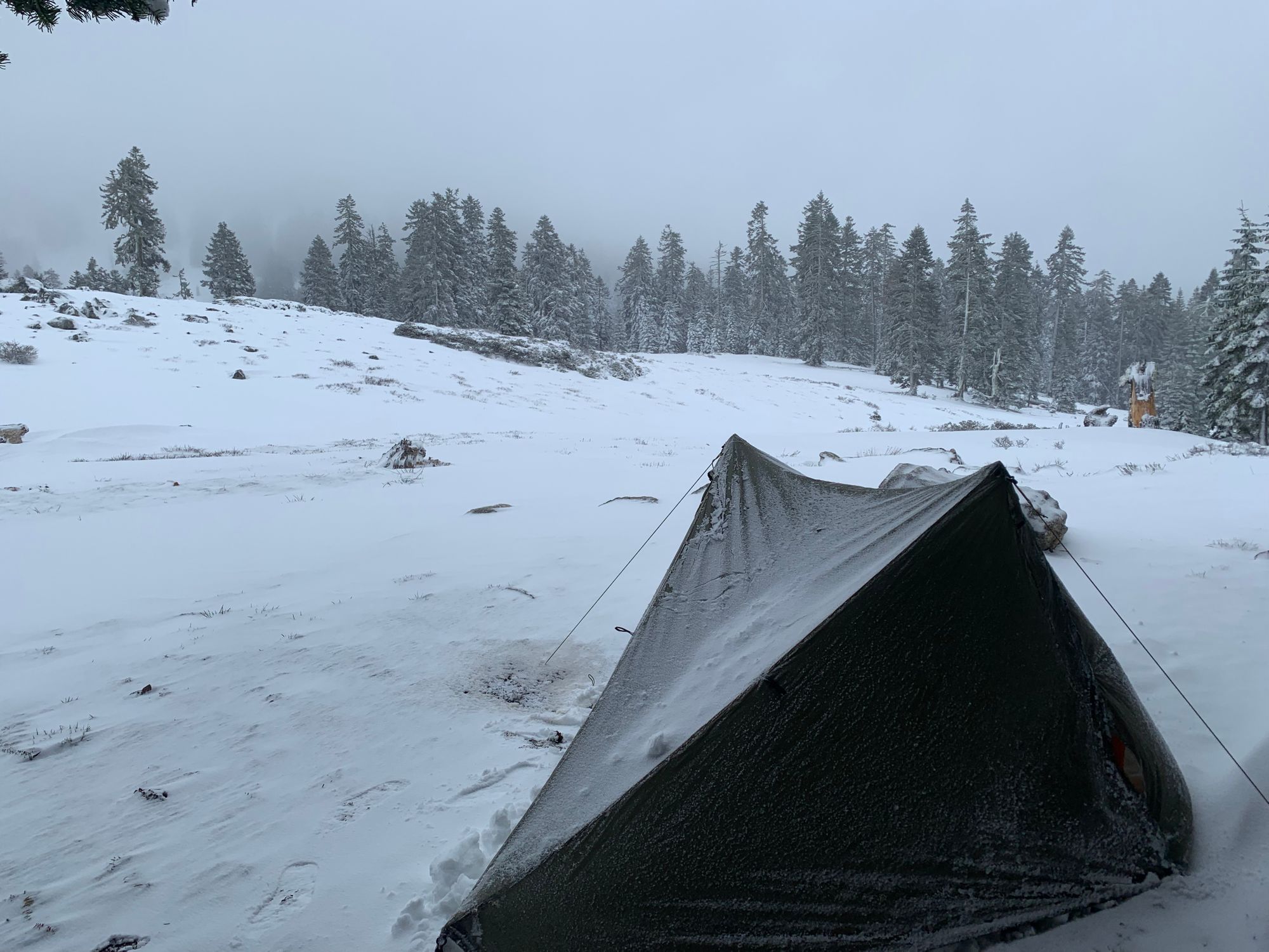 Day 46-56: California, Oregon, California.