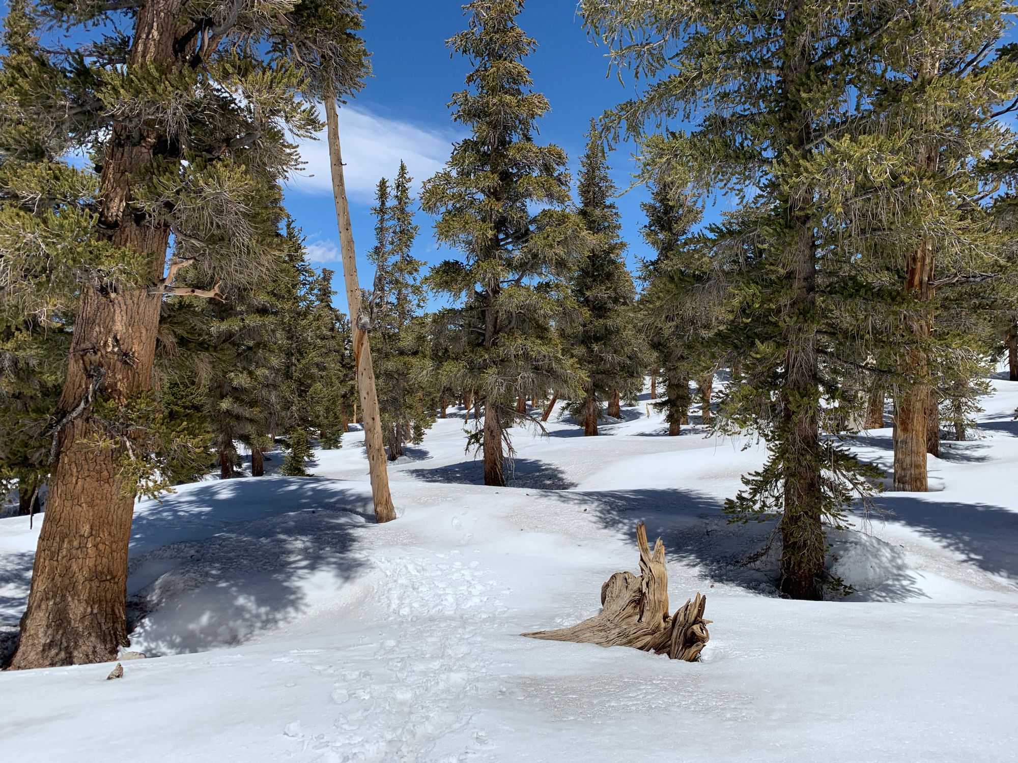 Day 46-56: California, Oregon, California.
