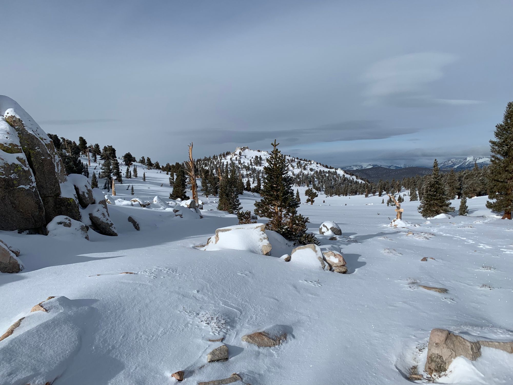 Day 46-56: California, Oregon, California.