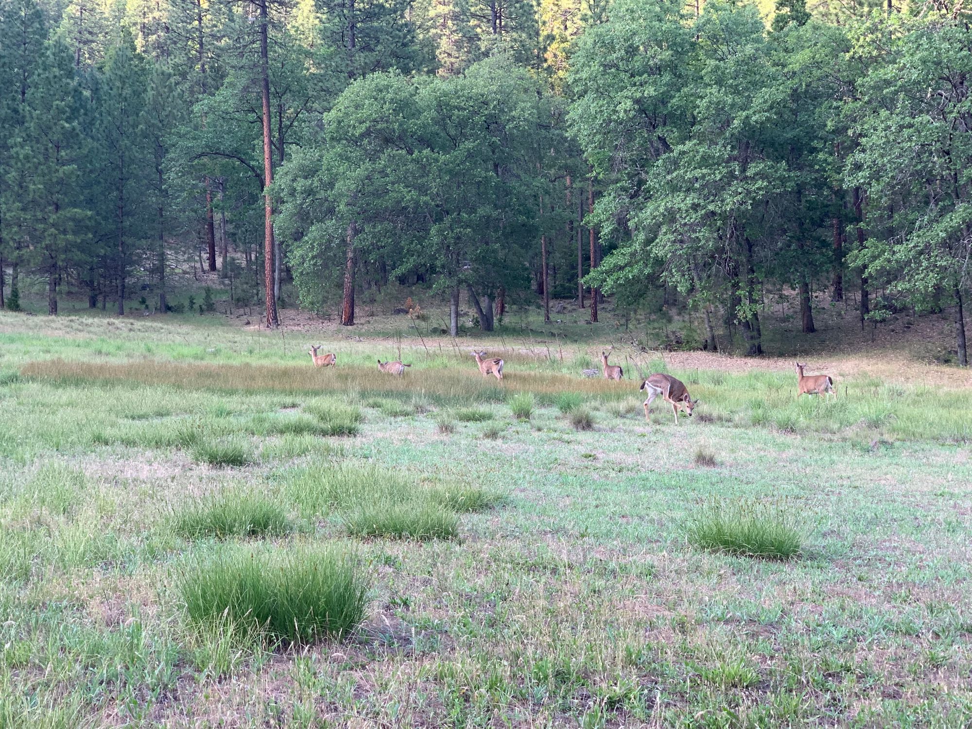 Day 46-56: California, Oregon, California.