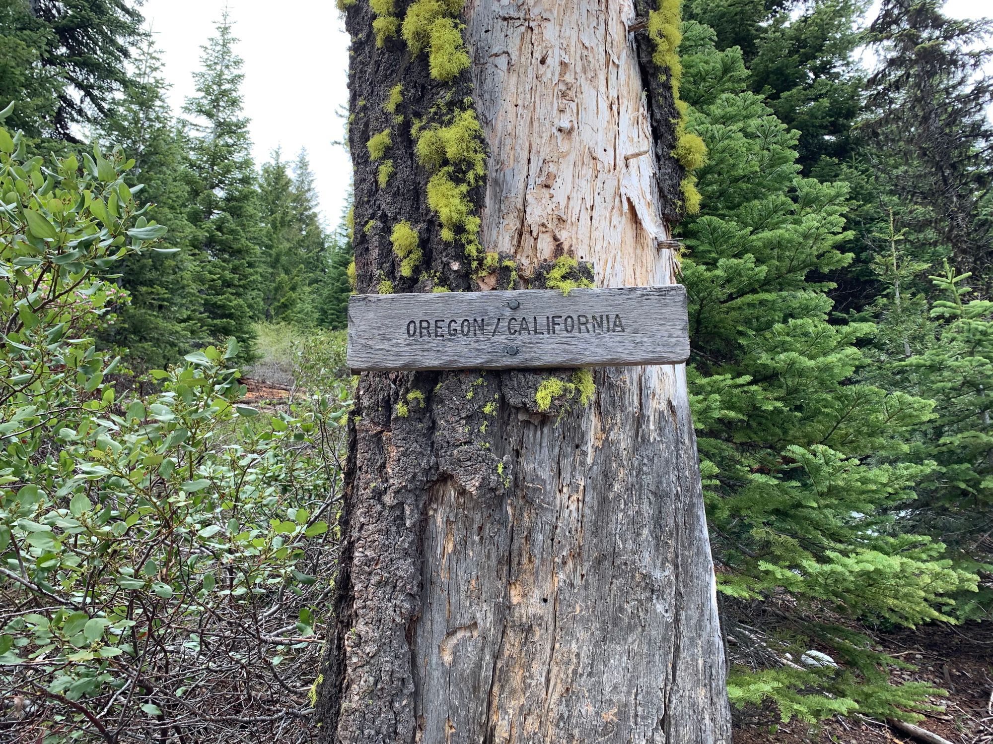 Day 46-56: California, Oregon, California.