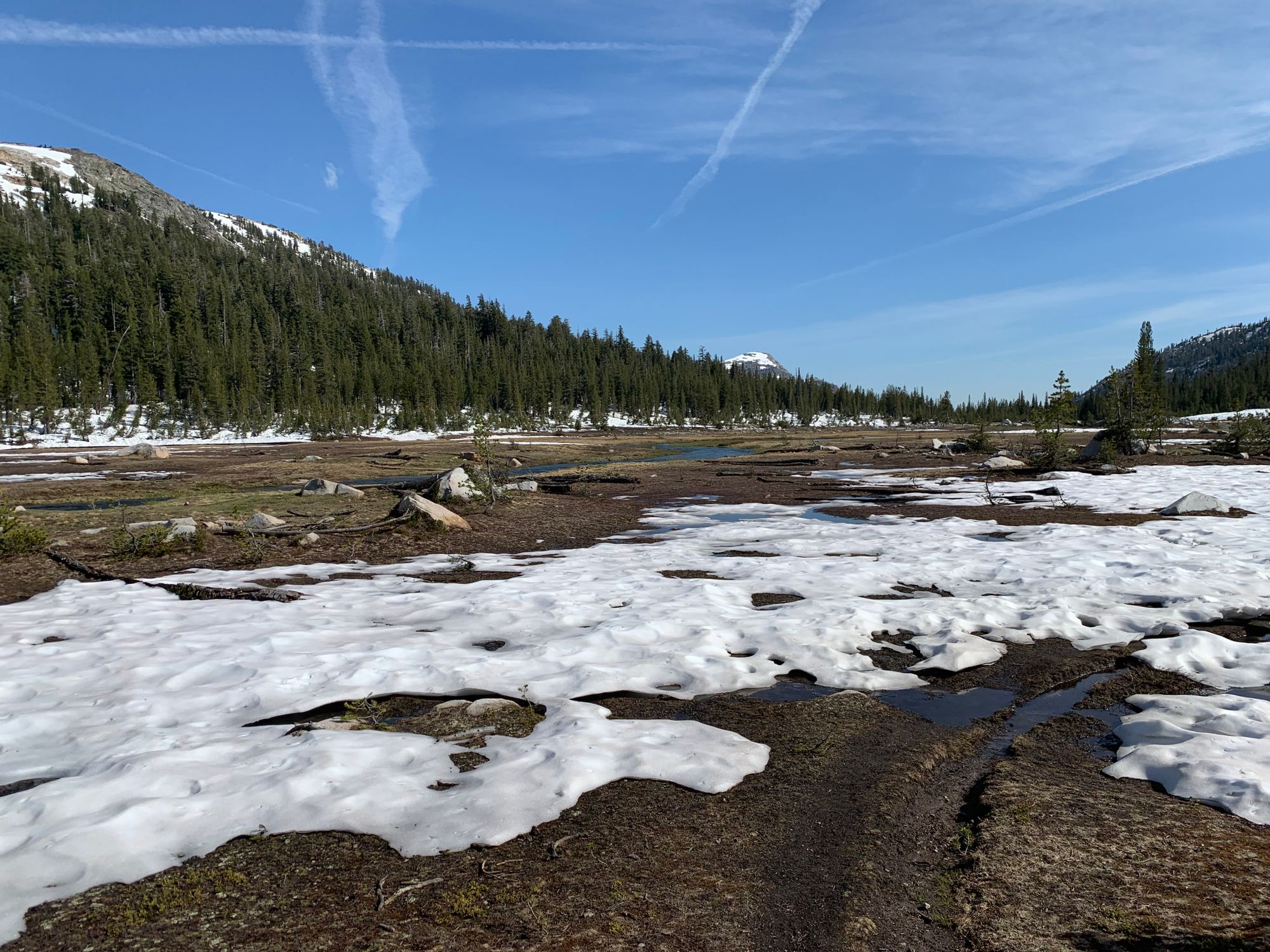 Day 89 to 97: High Sierras, rivers and meadows.