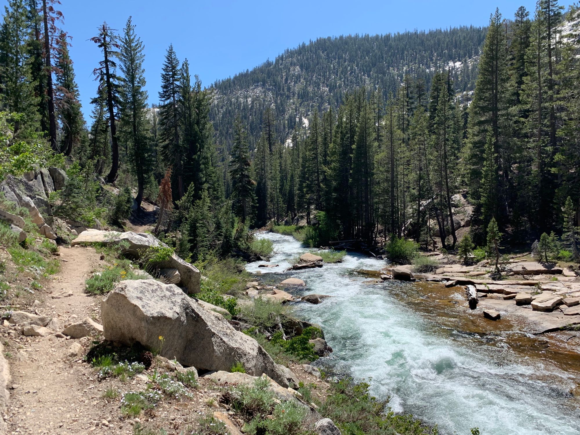 Day 89 to 97: High Sierras, rivers and meadows.