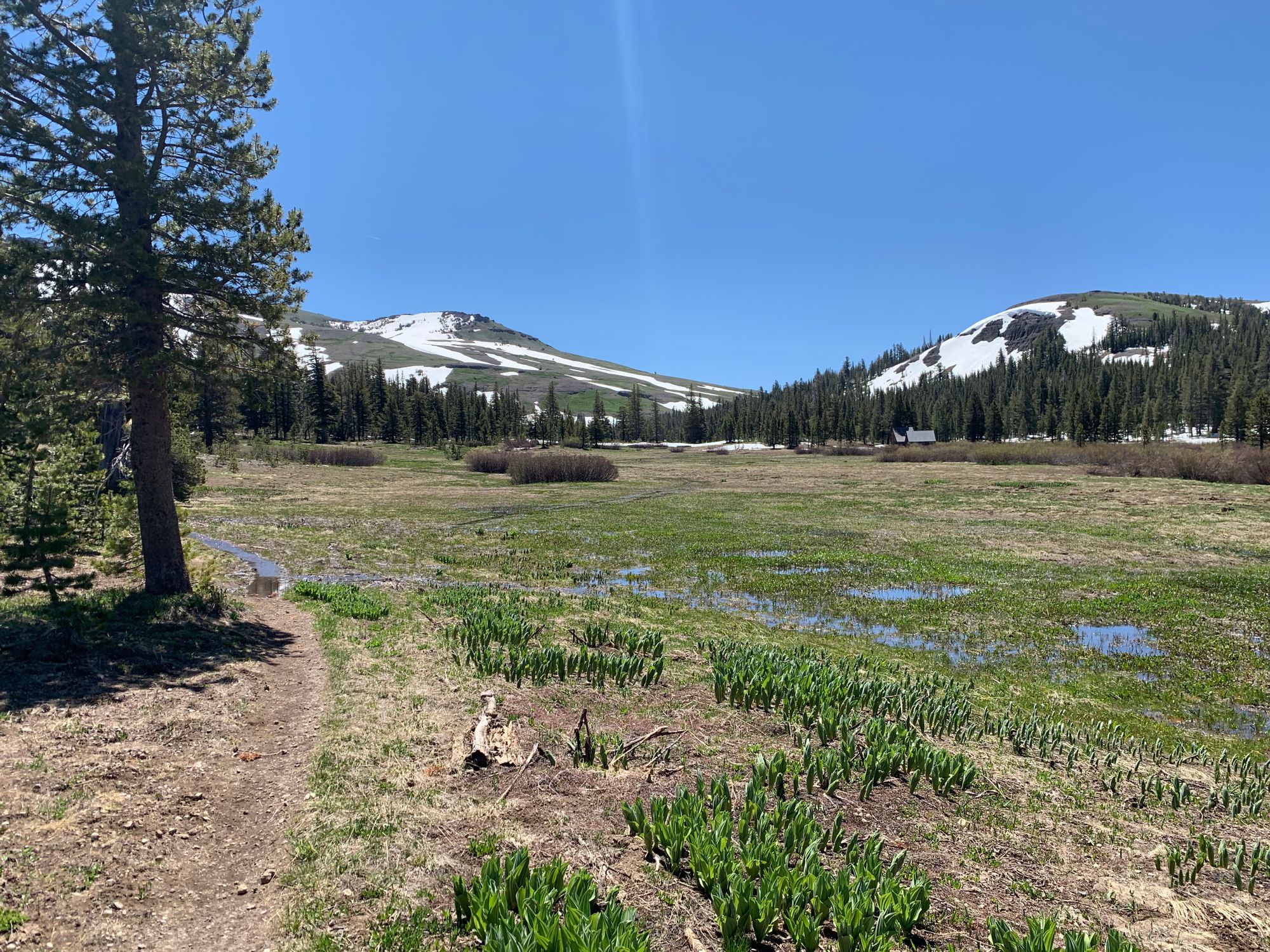 Day 89 to 97: High Sierras, rivers and meadows.
