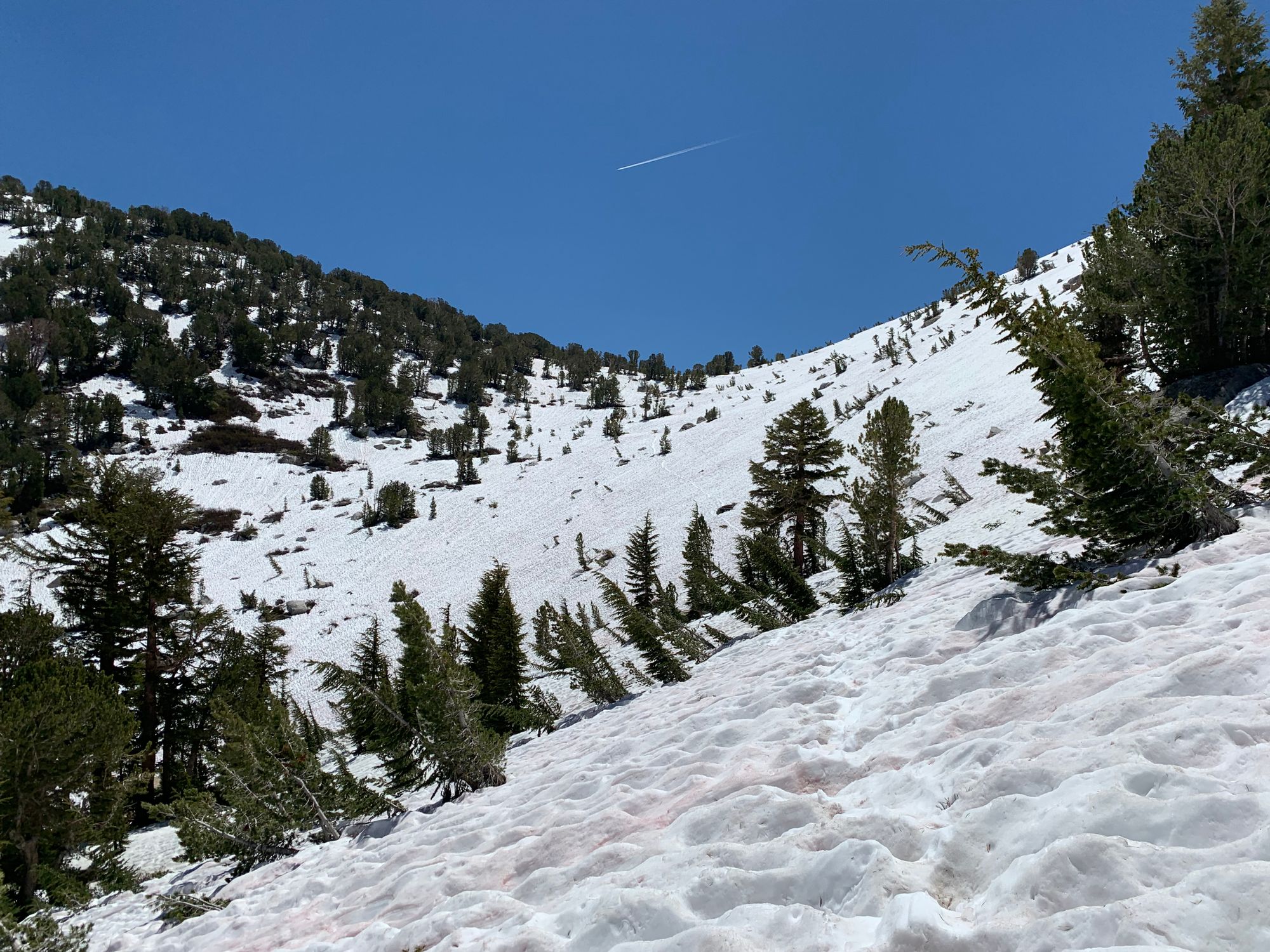 Day 89 to 97: High Sierras, rivers and meadows.