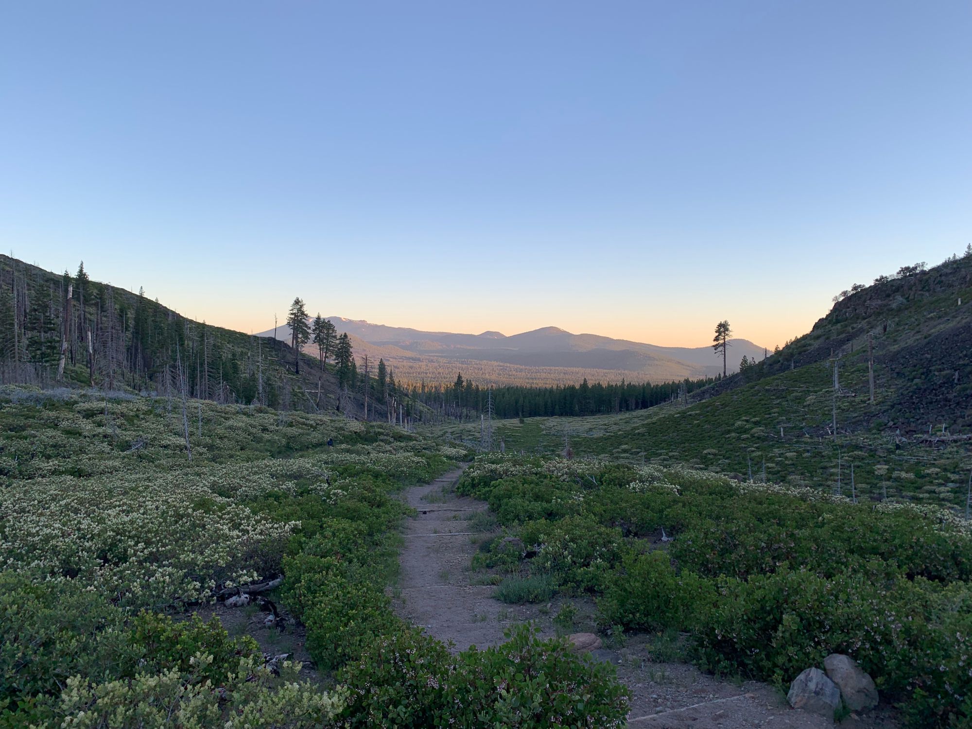 Day 73 to 77: Deers, heat and goodbyes.