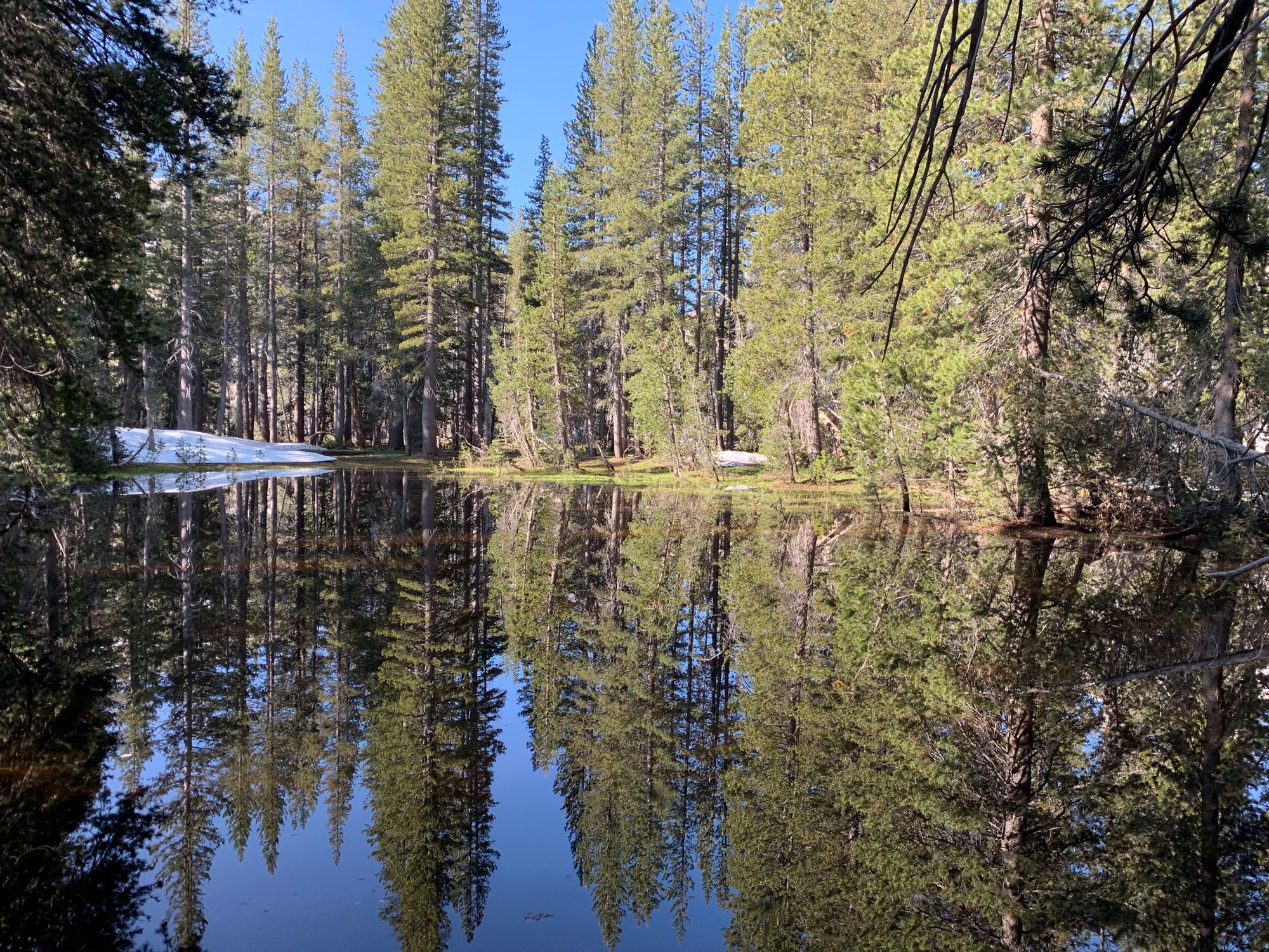 Day 89 to 97: High Sierras, rivers and meadows.