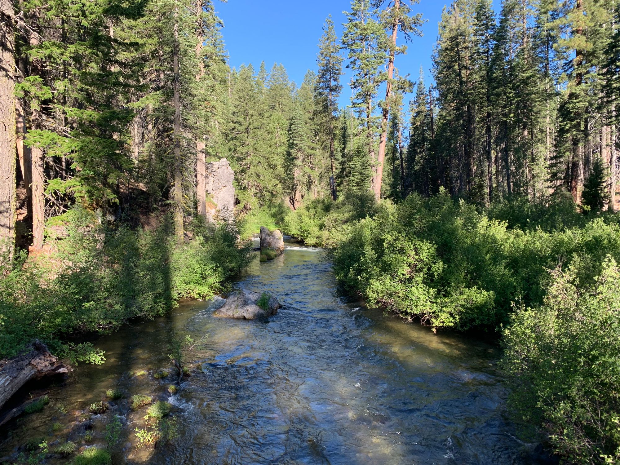 Day 73 to 77: Deers, heat and goodbyes.
