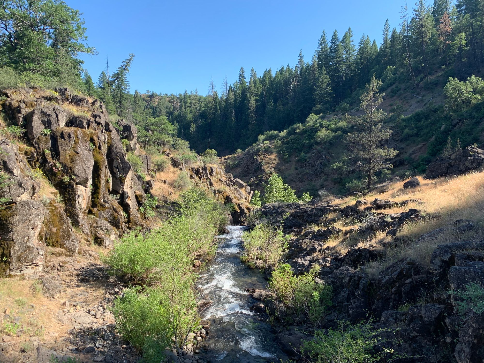 Day 67 to 72: Rivers, eagles and mosquitoes.