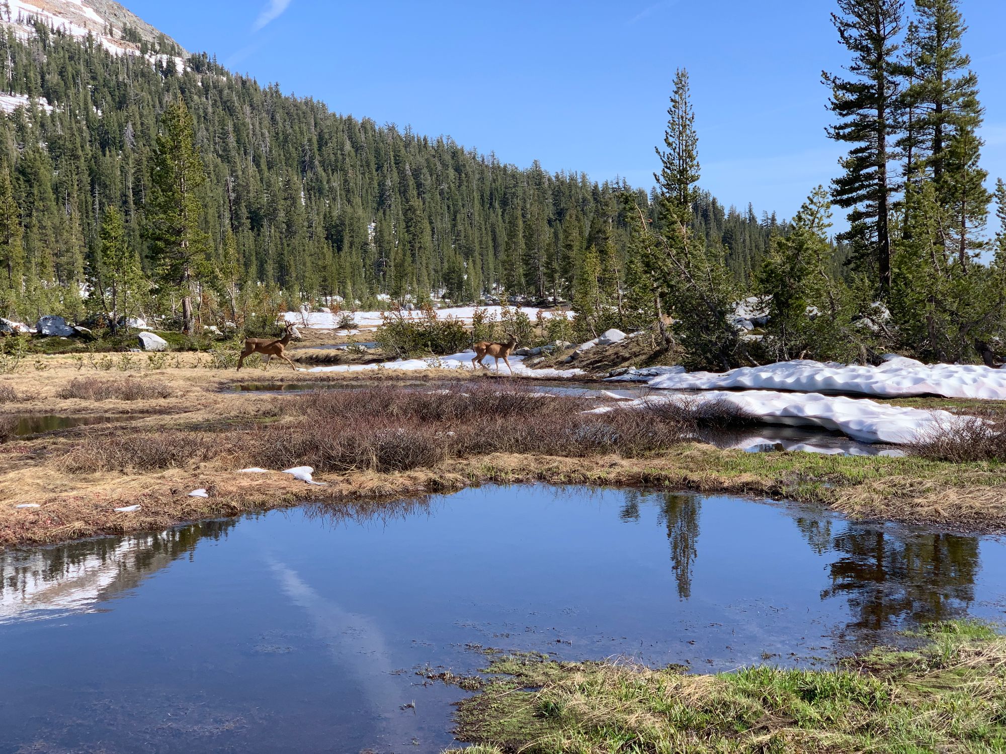 Day 89 to 97: High Sierras, rivers and meadows.
