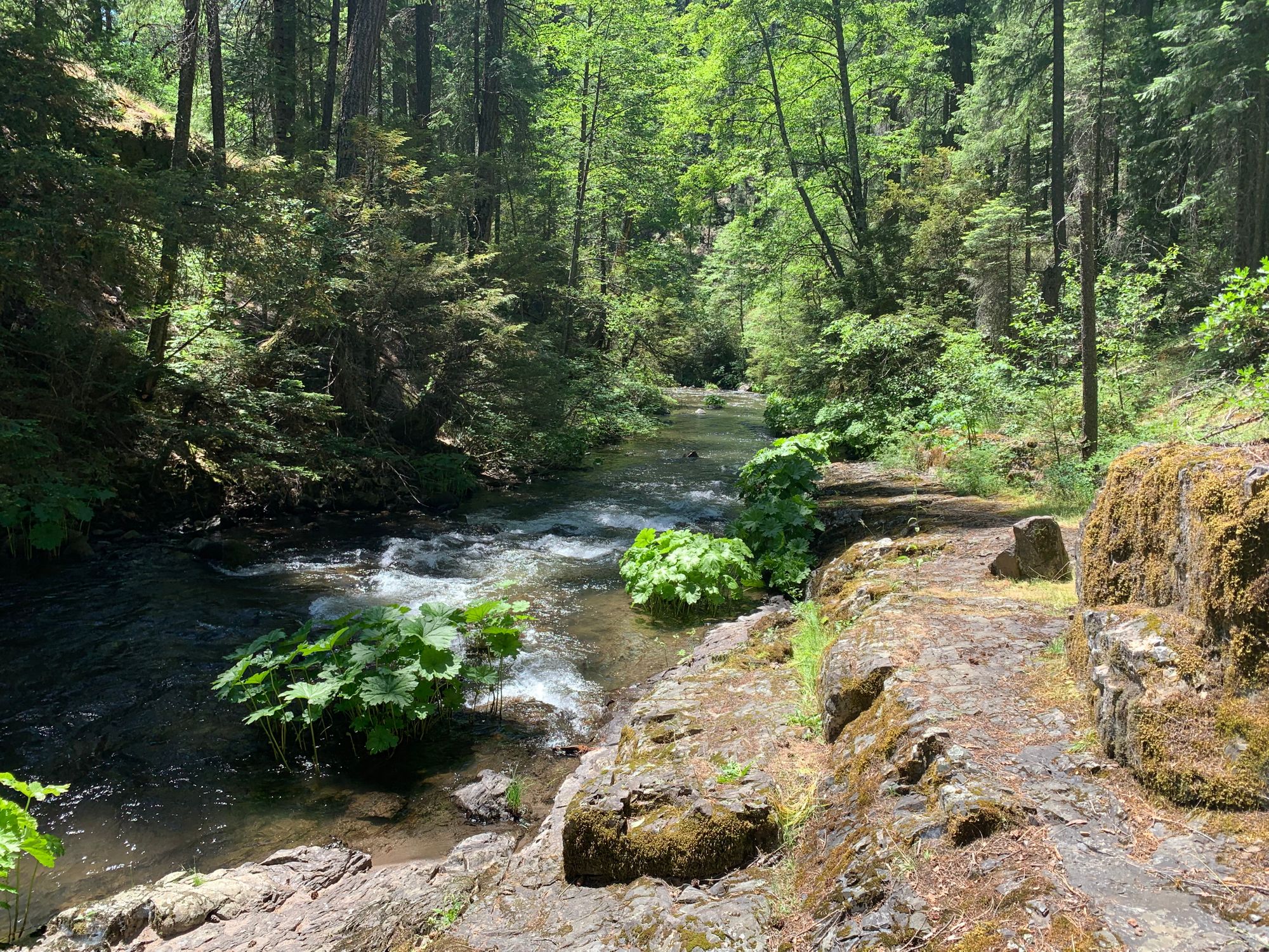 Day 67 to 72: Rivers, eagles and mosquitoes.
