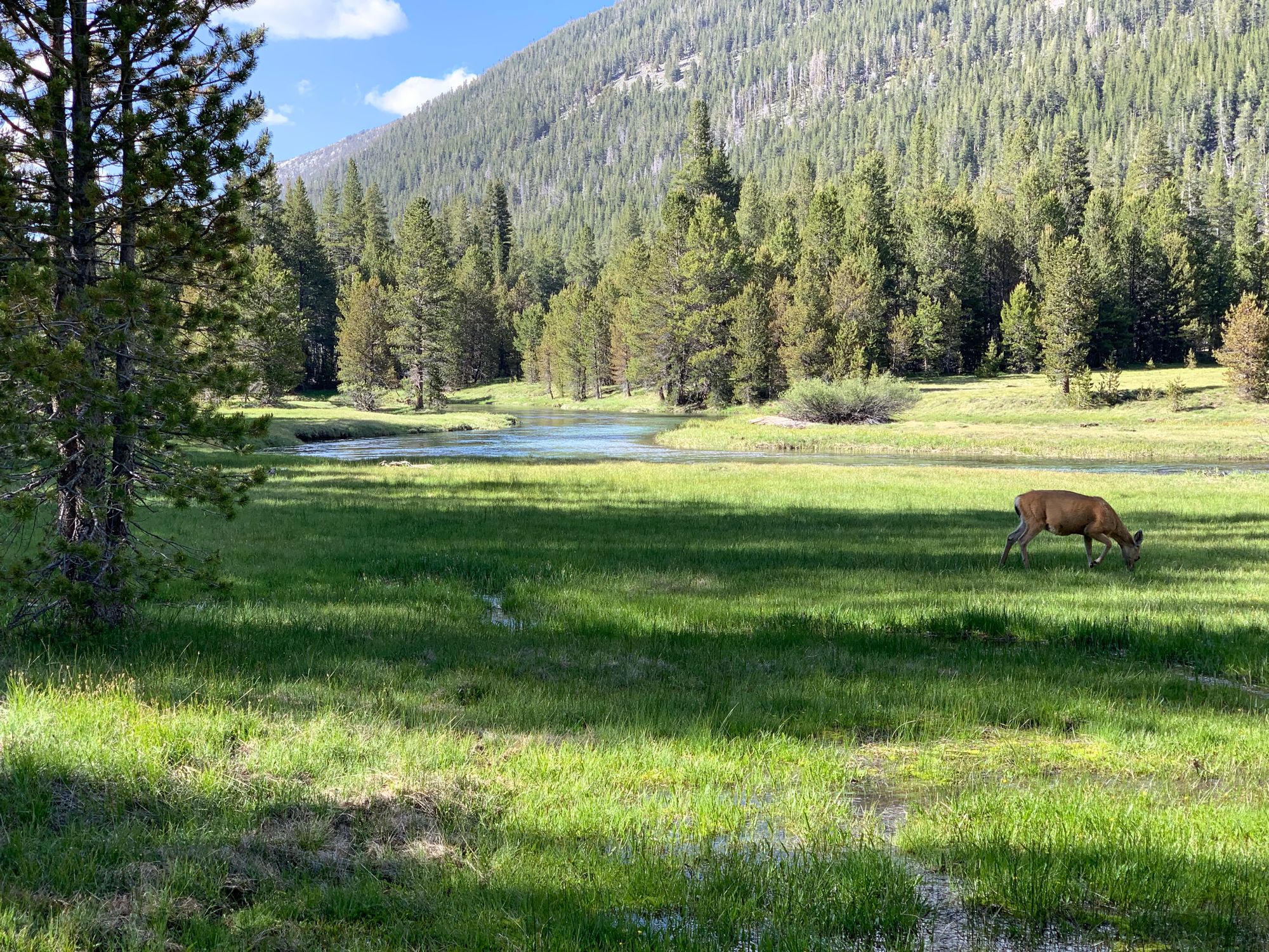 Day 89 to 97: High Sierras, rivers and meadows.