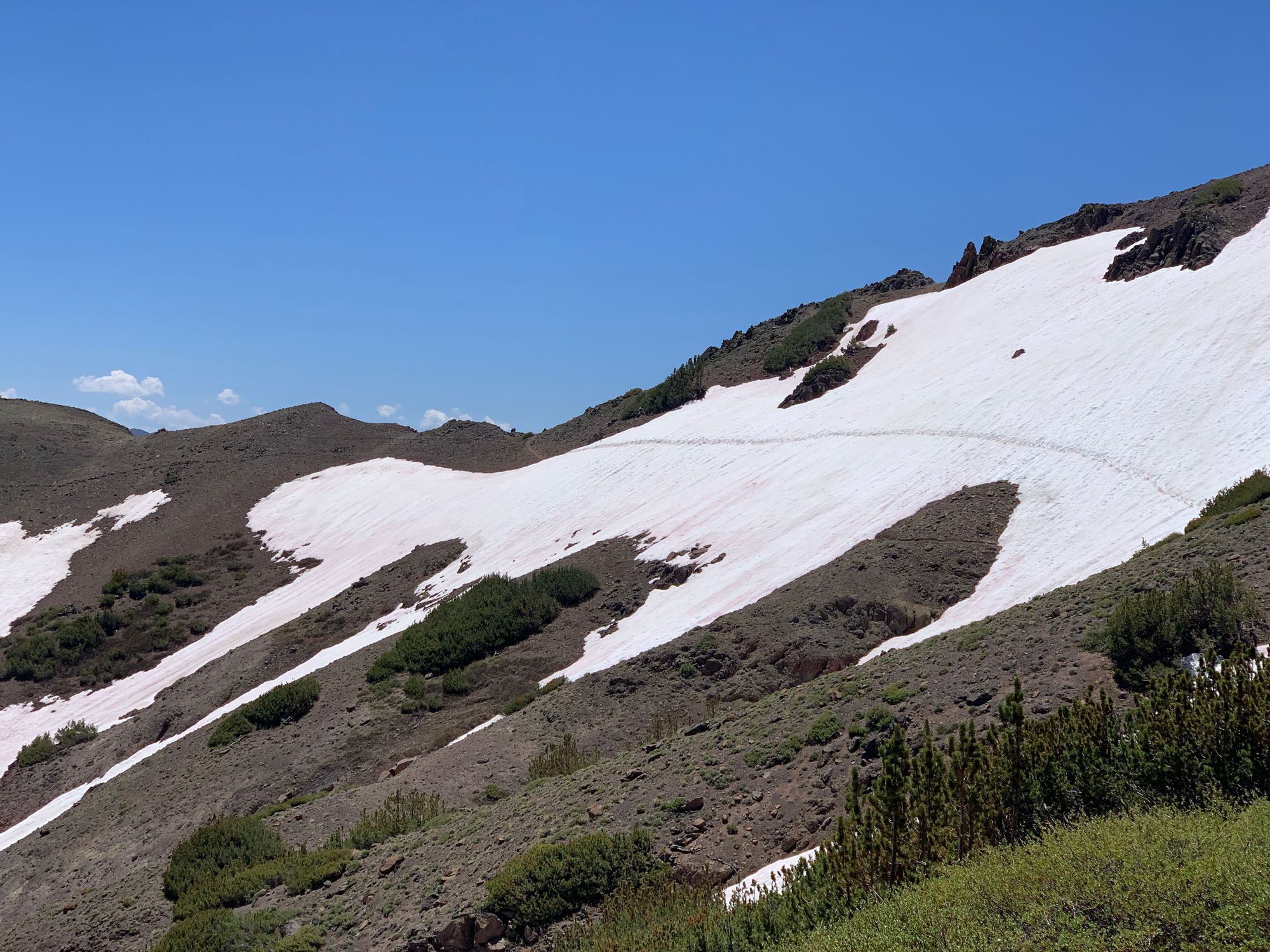 Day 89 to 97: High Sierras, rivers and meadows.