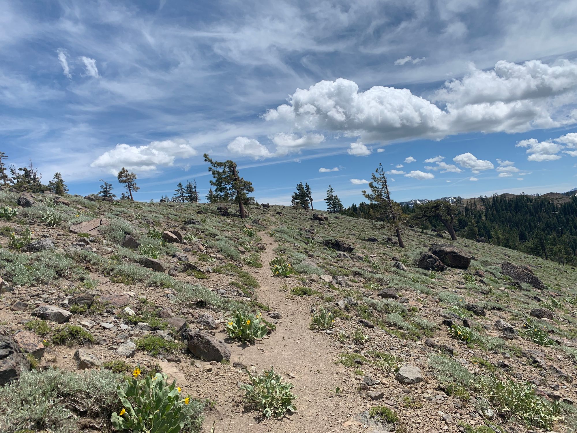 Day 78 to 88: Lakes, snow and miles.
