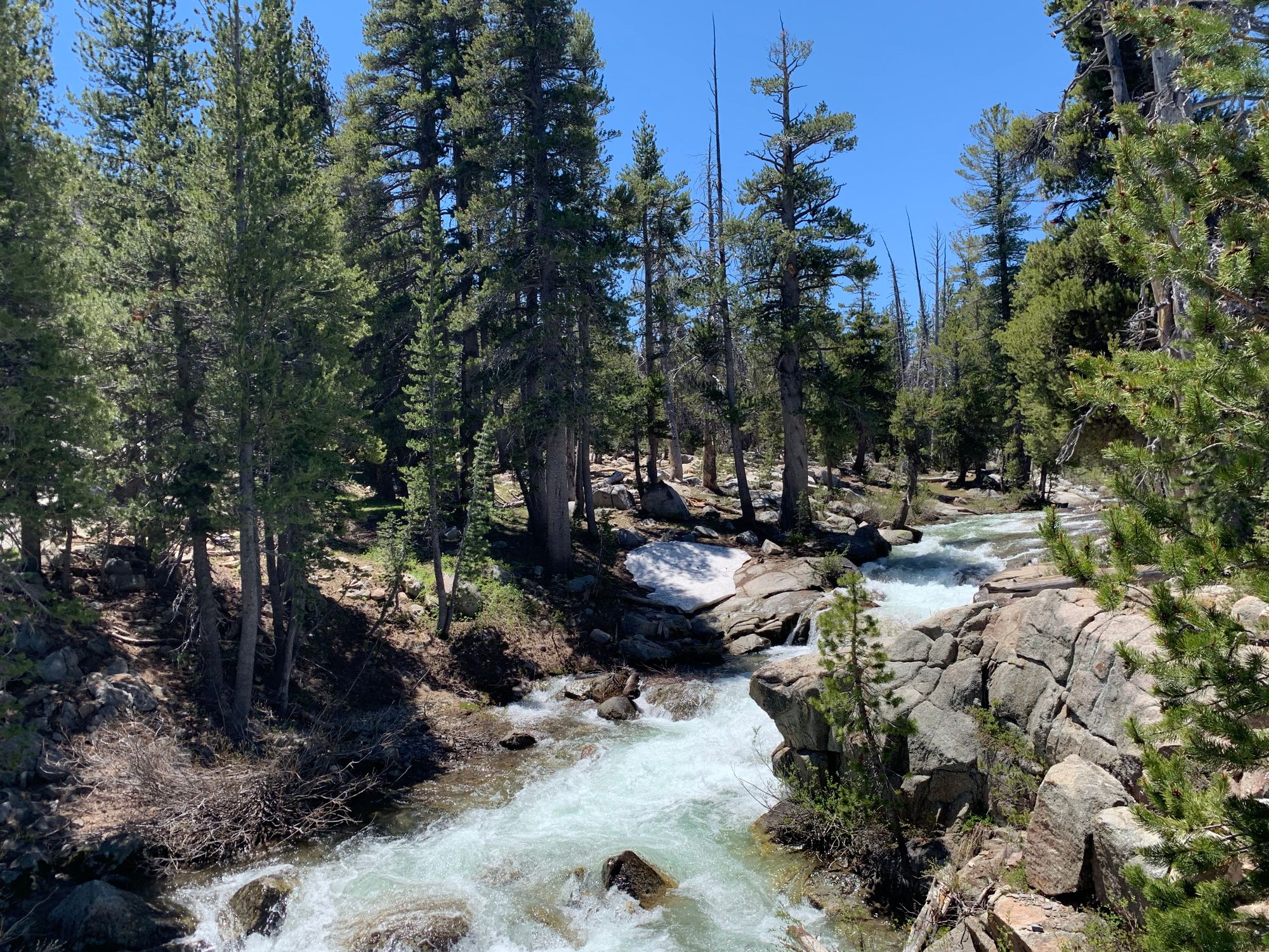 Day 89 to 97: High Sierras, rivers and meadows.
