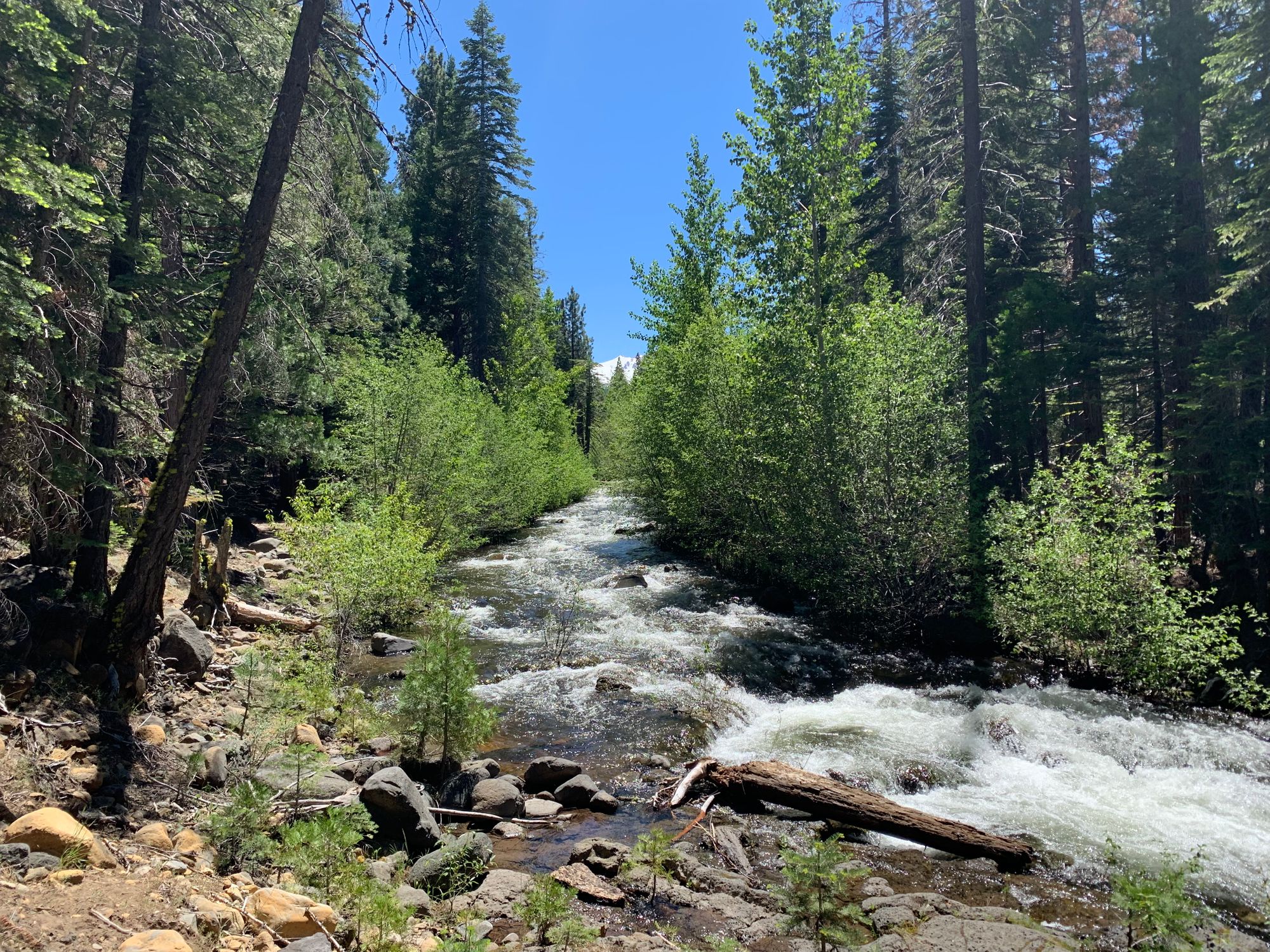 Day 73 to 77: Deers, heat and goodbyes.