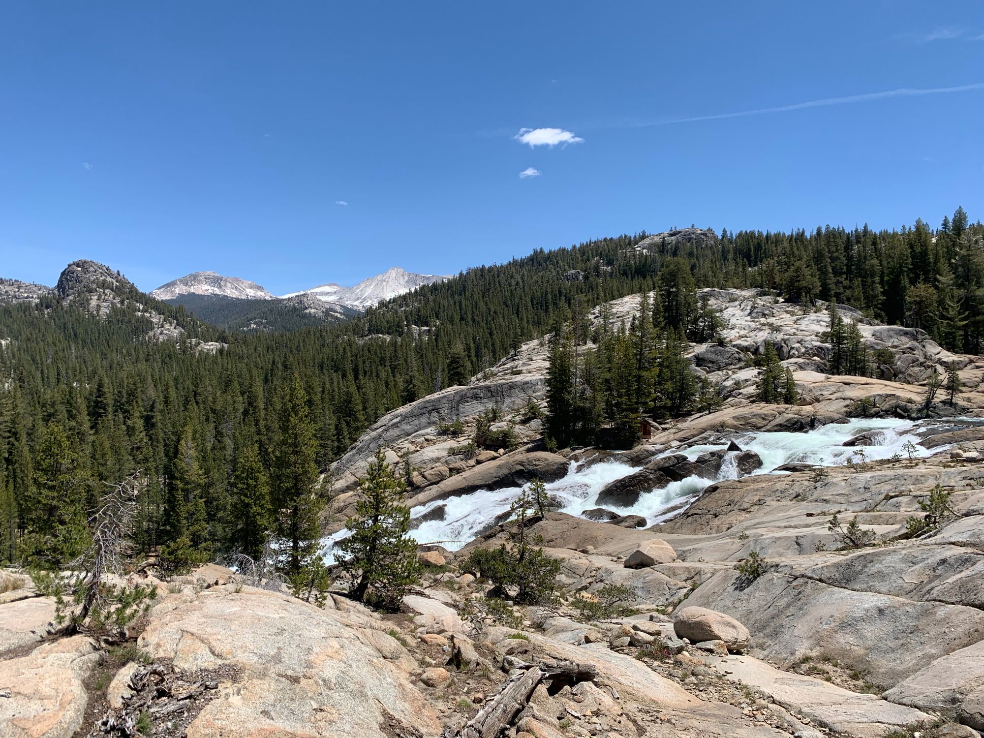 Day 89 to 97: High Sierras, rivers and meadows.