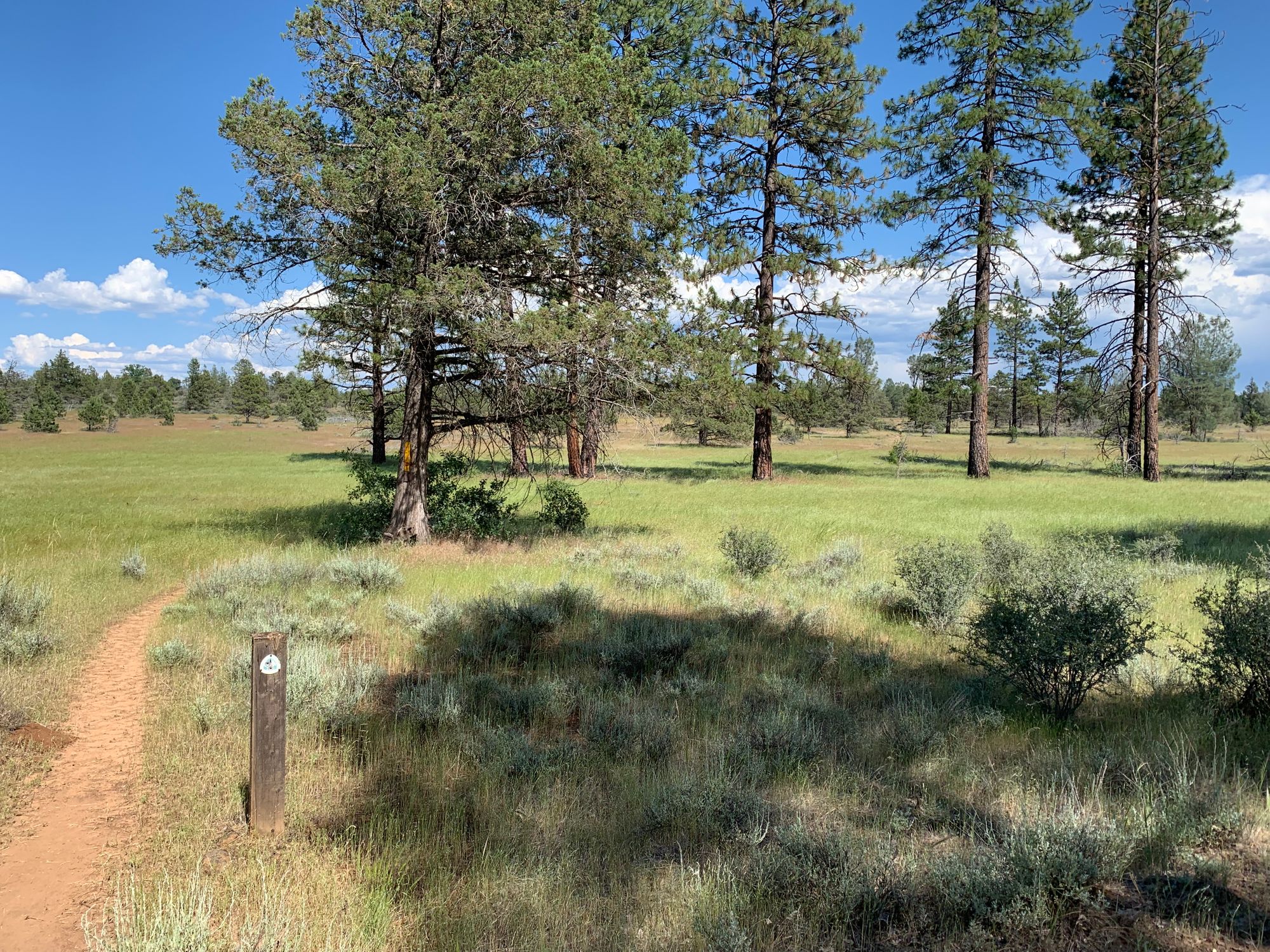 Day 73 to 77: Deers, heat and goodbyes.