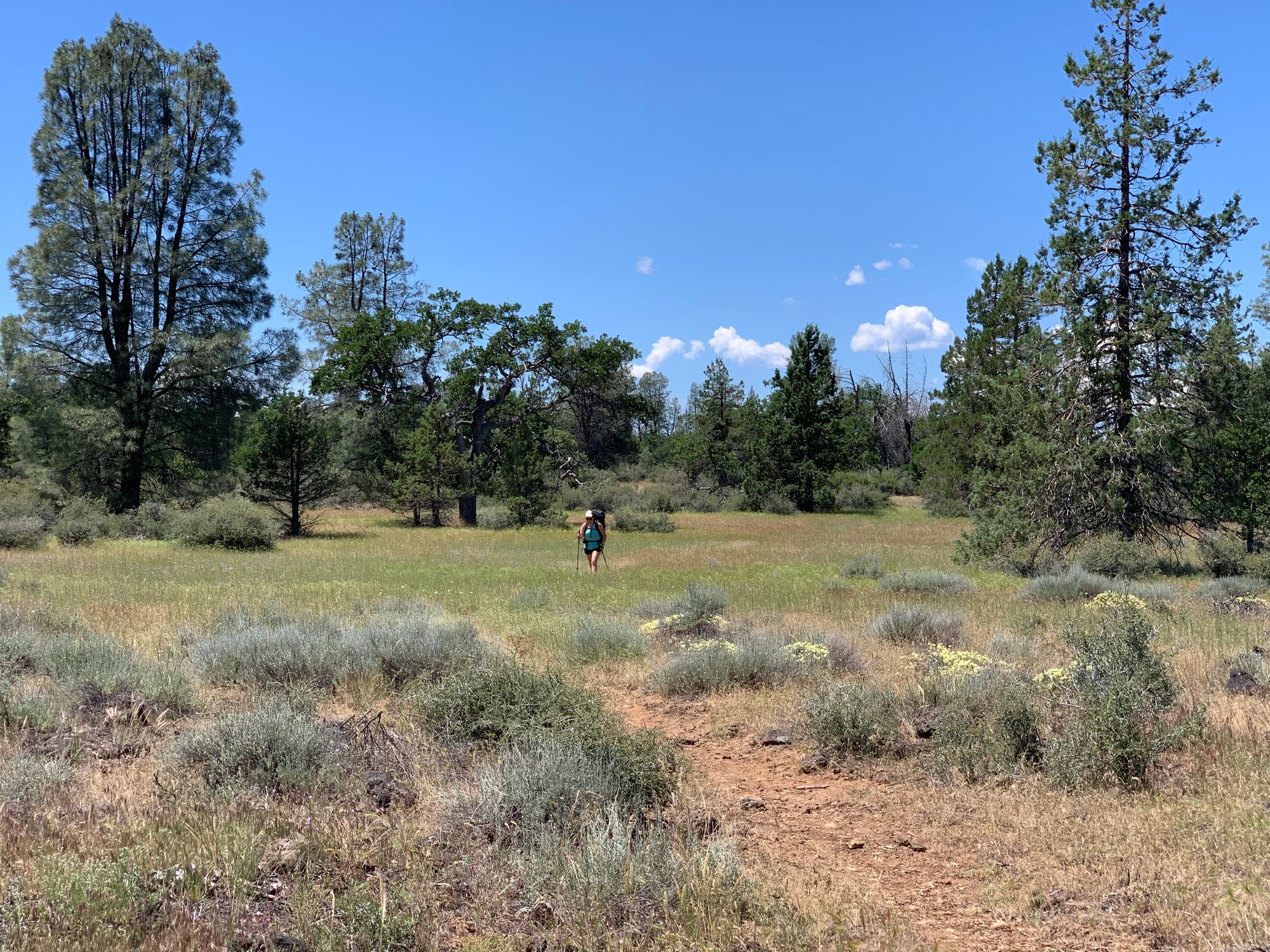 Day 73 to 77: Deers, heat and goodbyes.