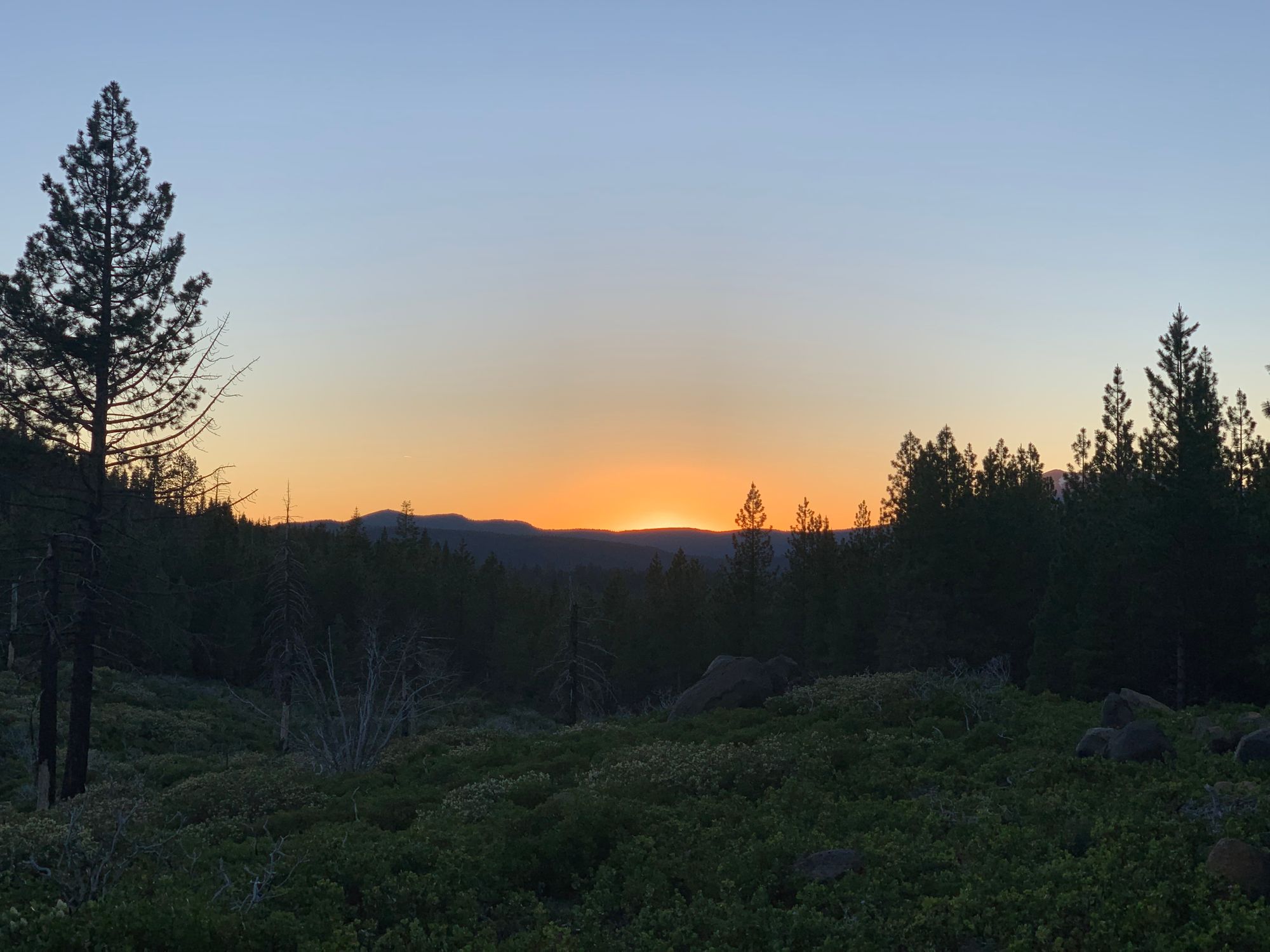 Day 73 to 77: Deers, heat and goodbyes.
