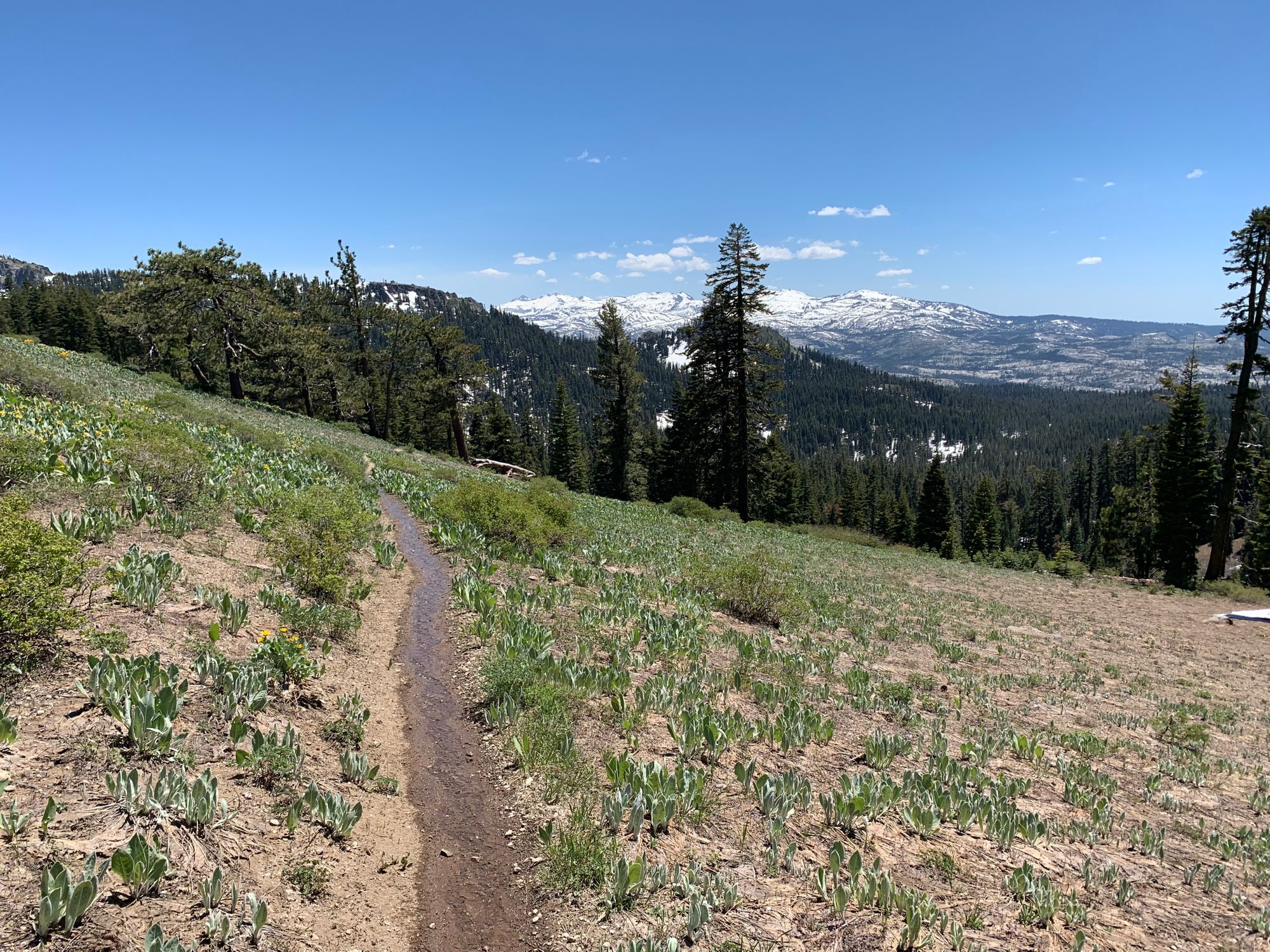 Day 78 to 88: Lakes, snow and miles.