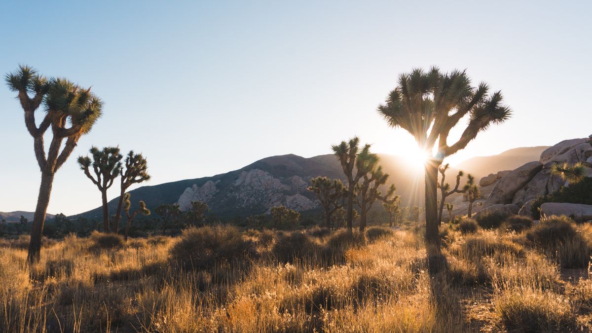 Why I am hiking the Pacific Crest Trail