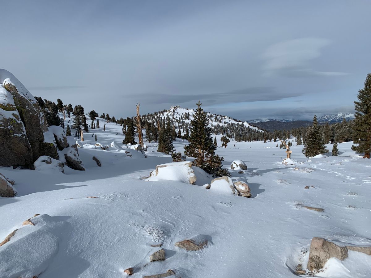 Day 46-56: California, Oregon, California.