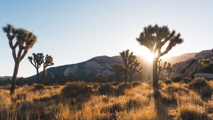 Why I am hiking the Pacific Crest Trail