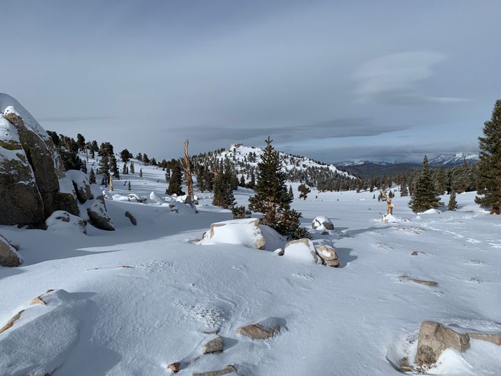 Day 46-56: California, Oregon, California.