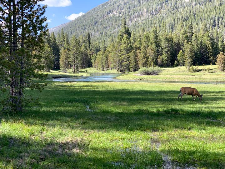 Day 89 to 97: High Sierras, rivers and meadows.