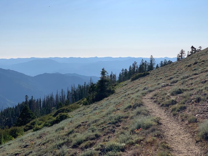 Day 106 to 112: Diarrhea, the end of California, the end of the PCT ?